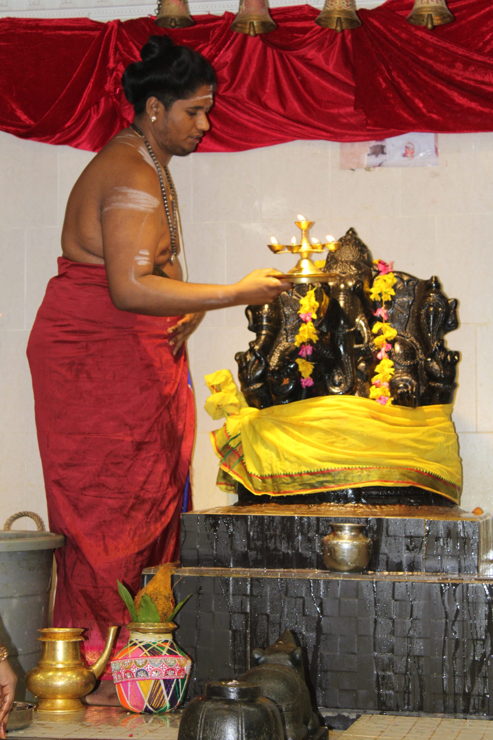 Festival 2024 photo