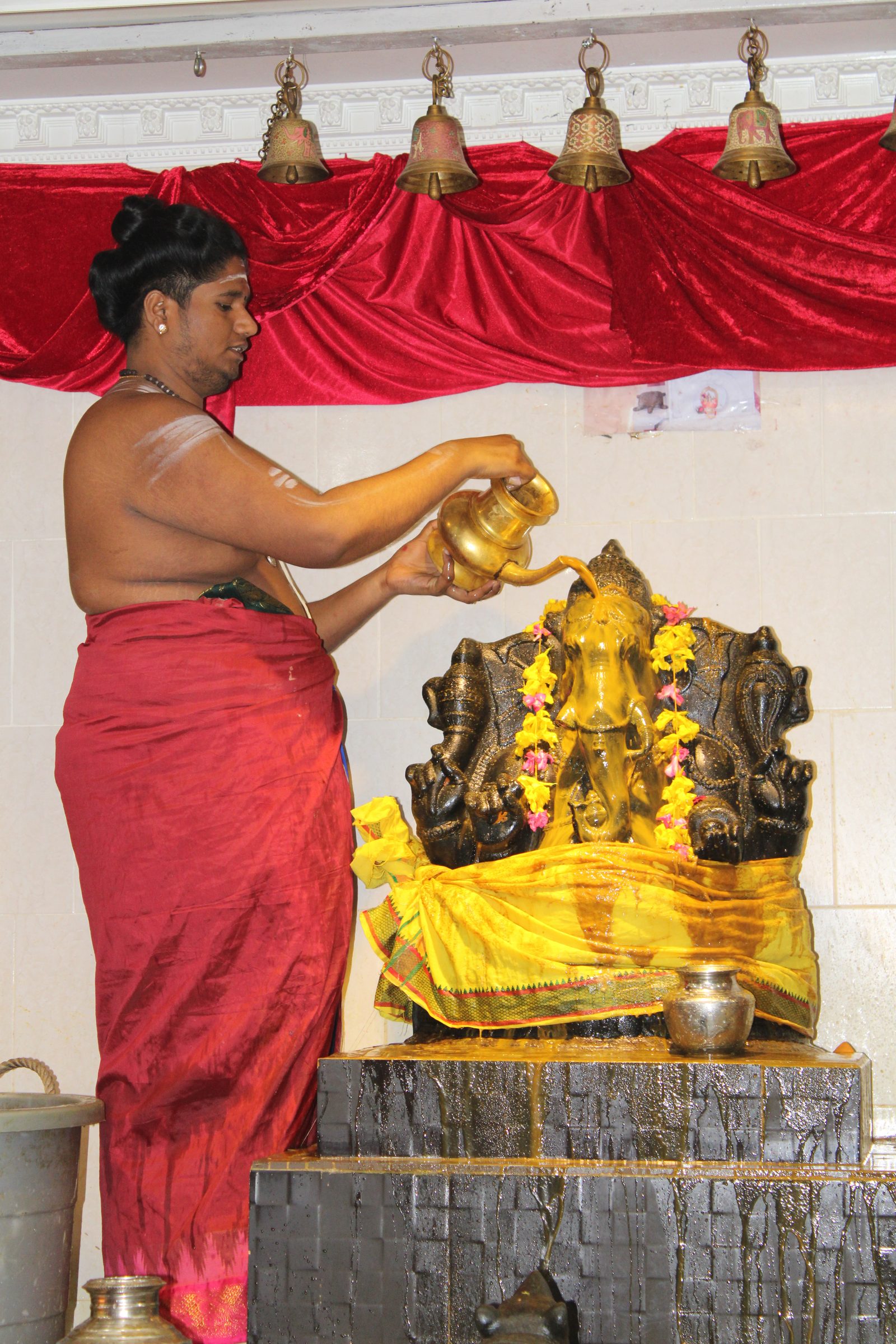 Festival 2024 photo