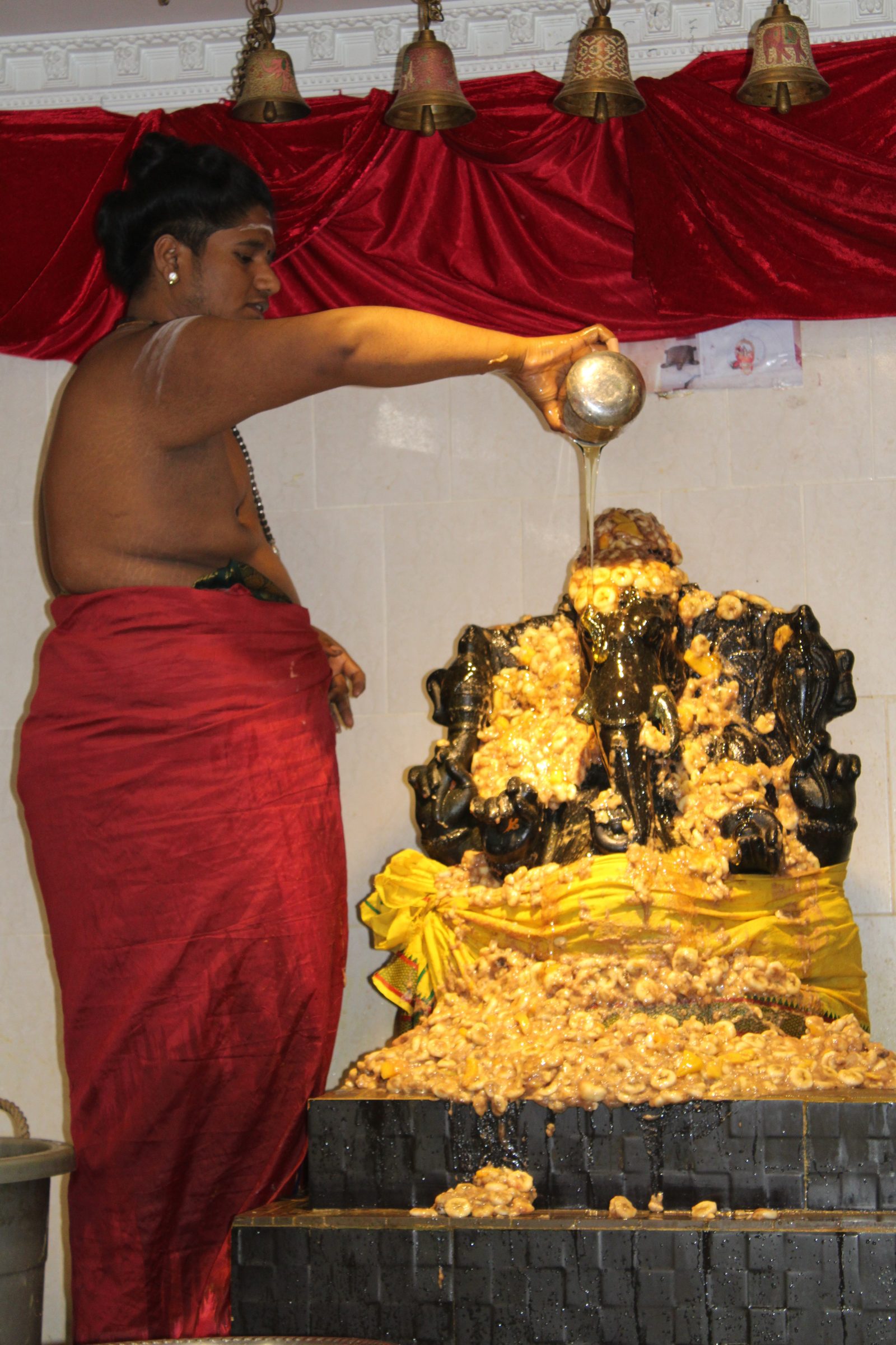 Festival 2024 photo