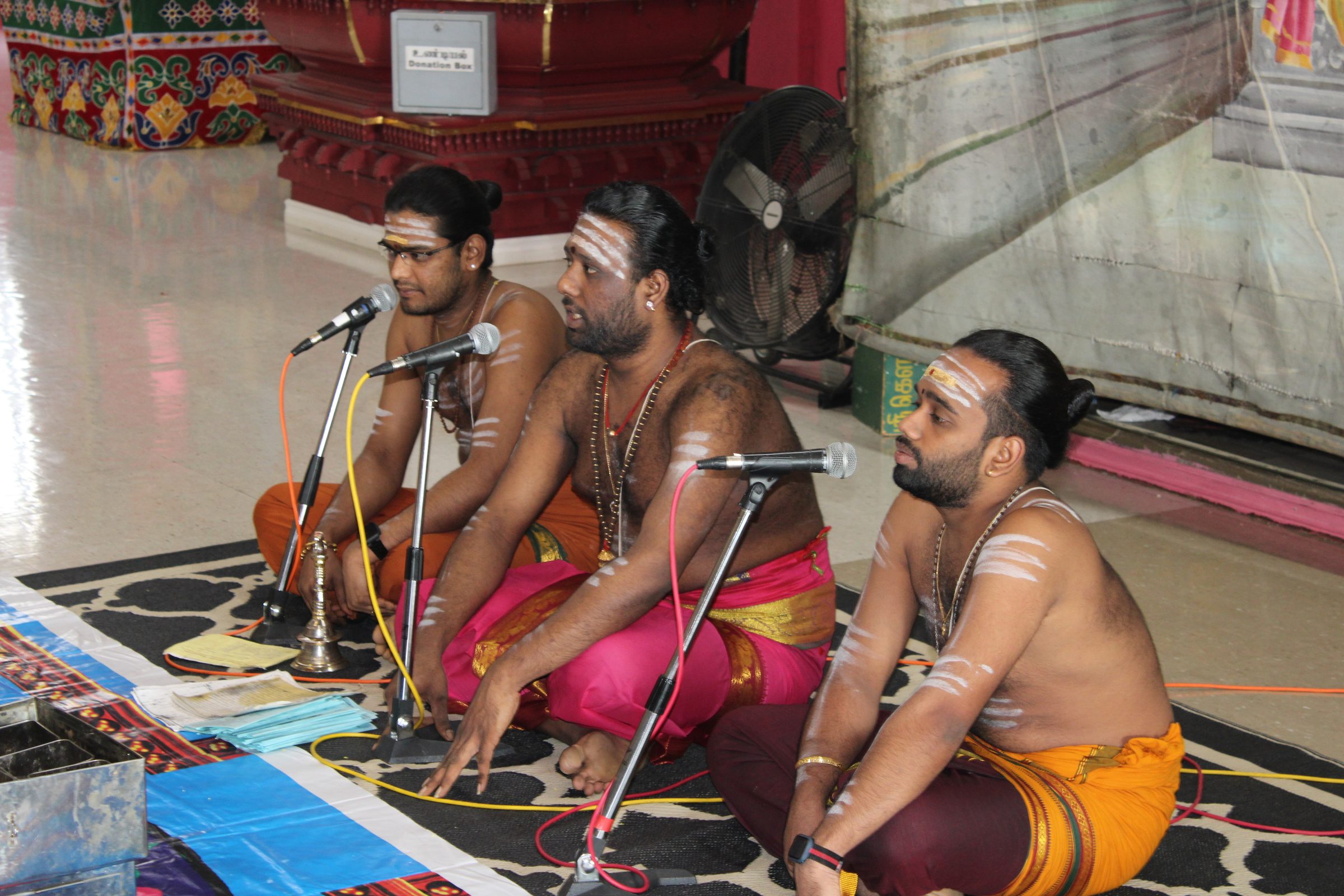 Festival 2024 photo