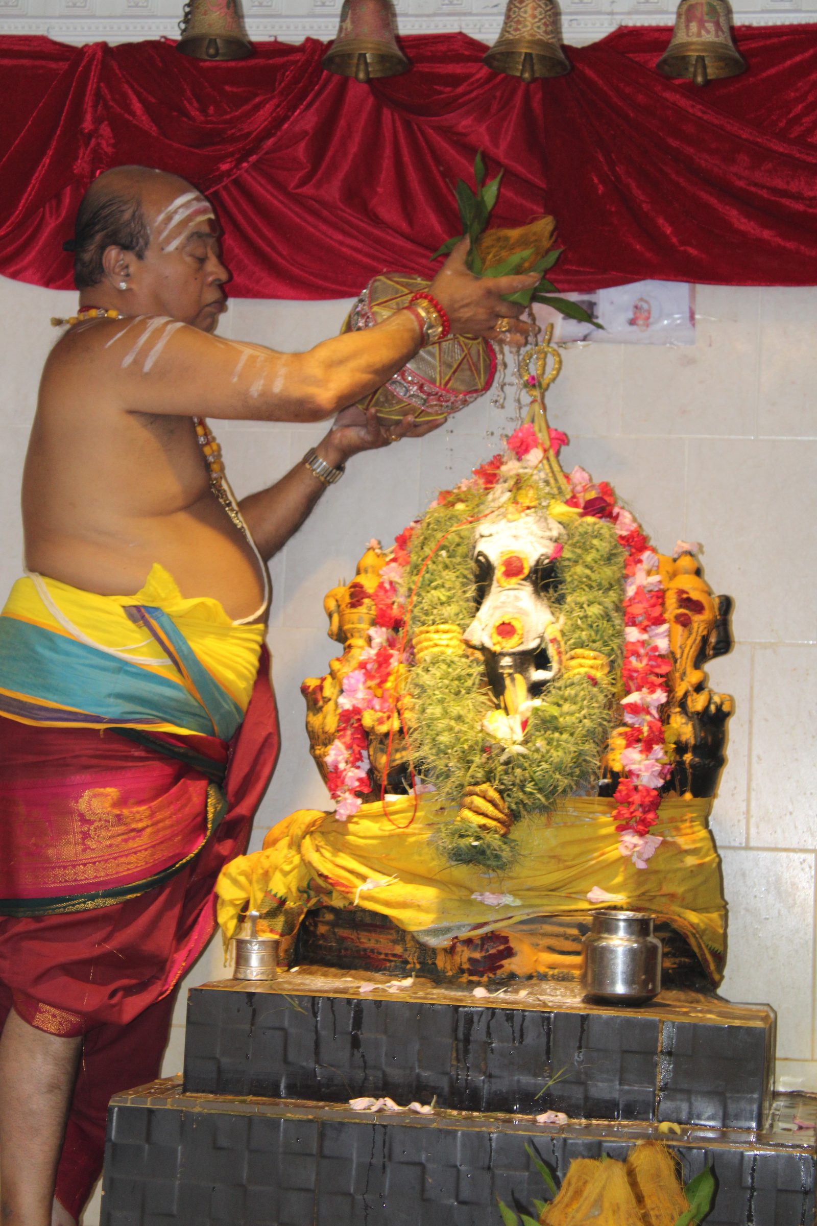 Festival 2024 photo