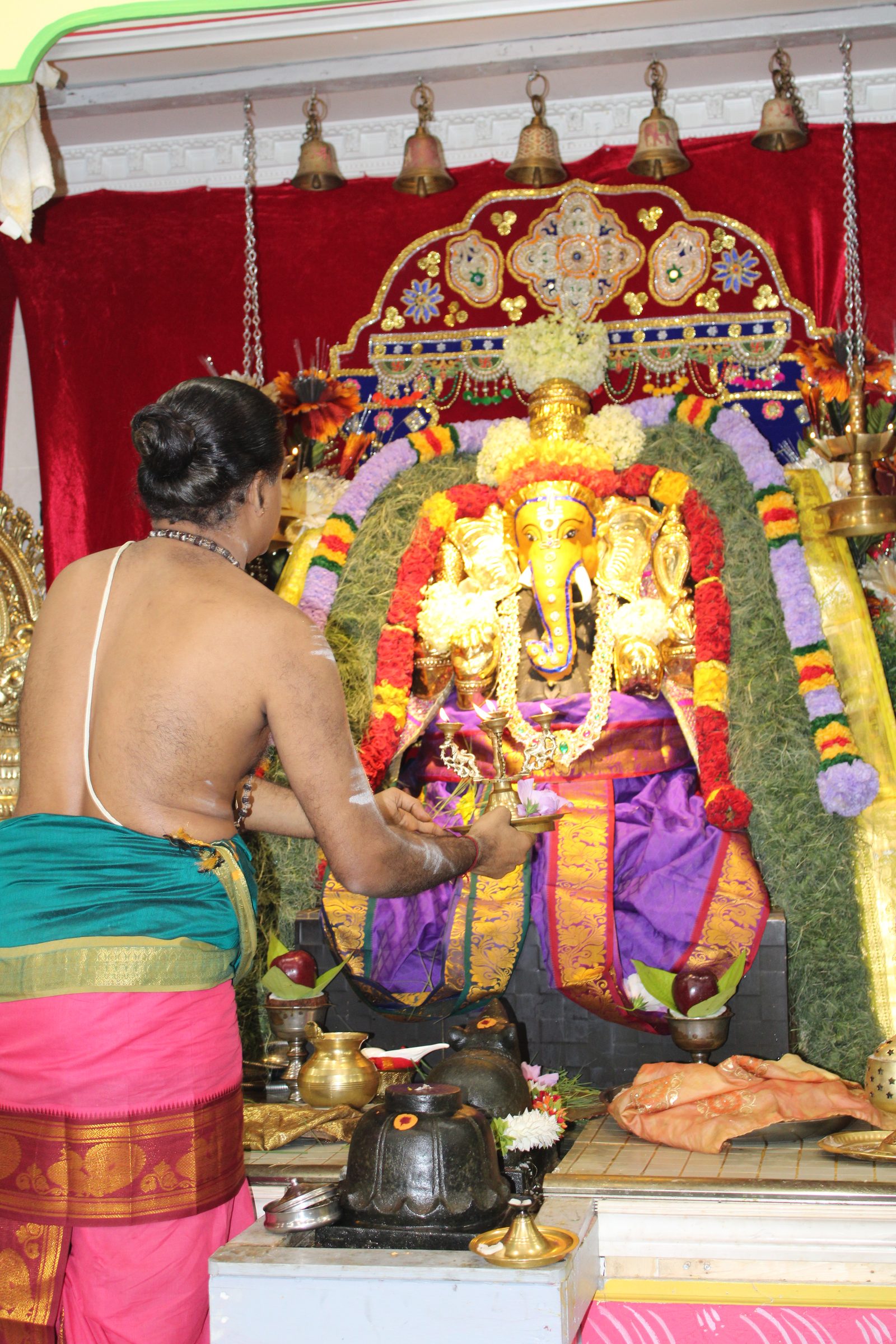 Festival 2024 photo