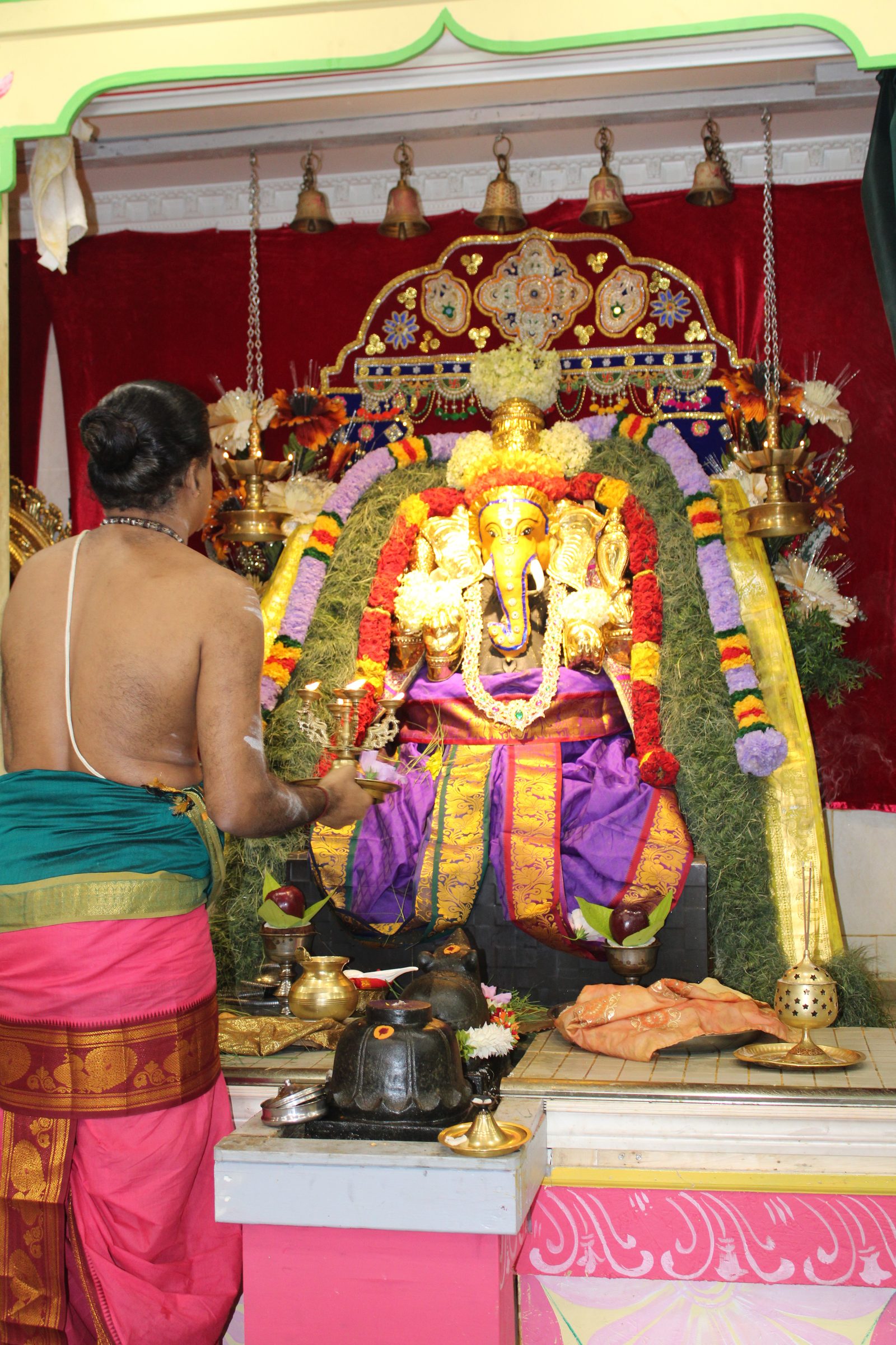 Festival 2024 photo