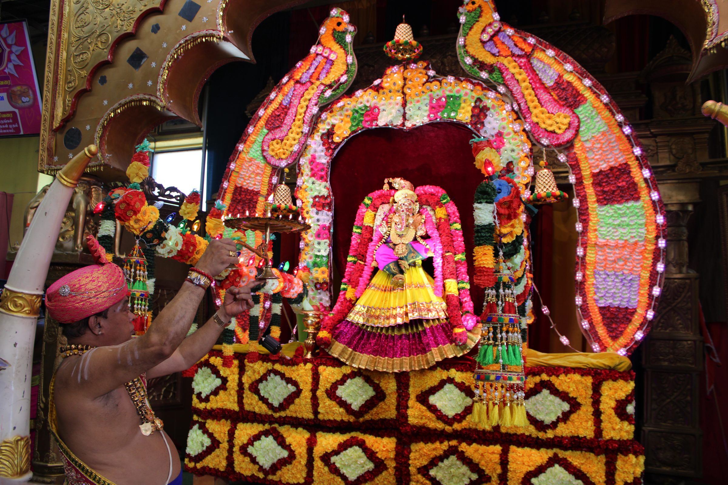 Festival 2024 photo