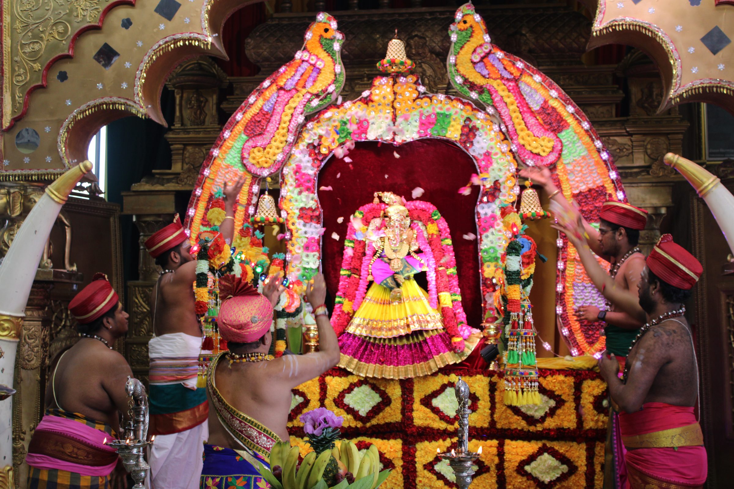 Festival 2024 photo