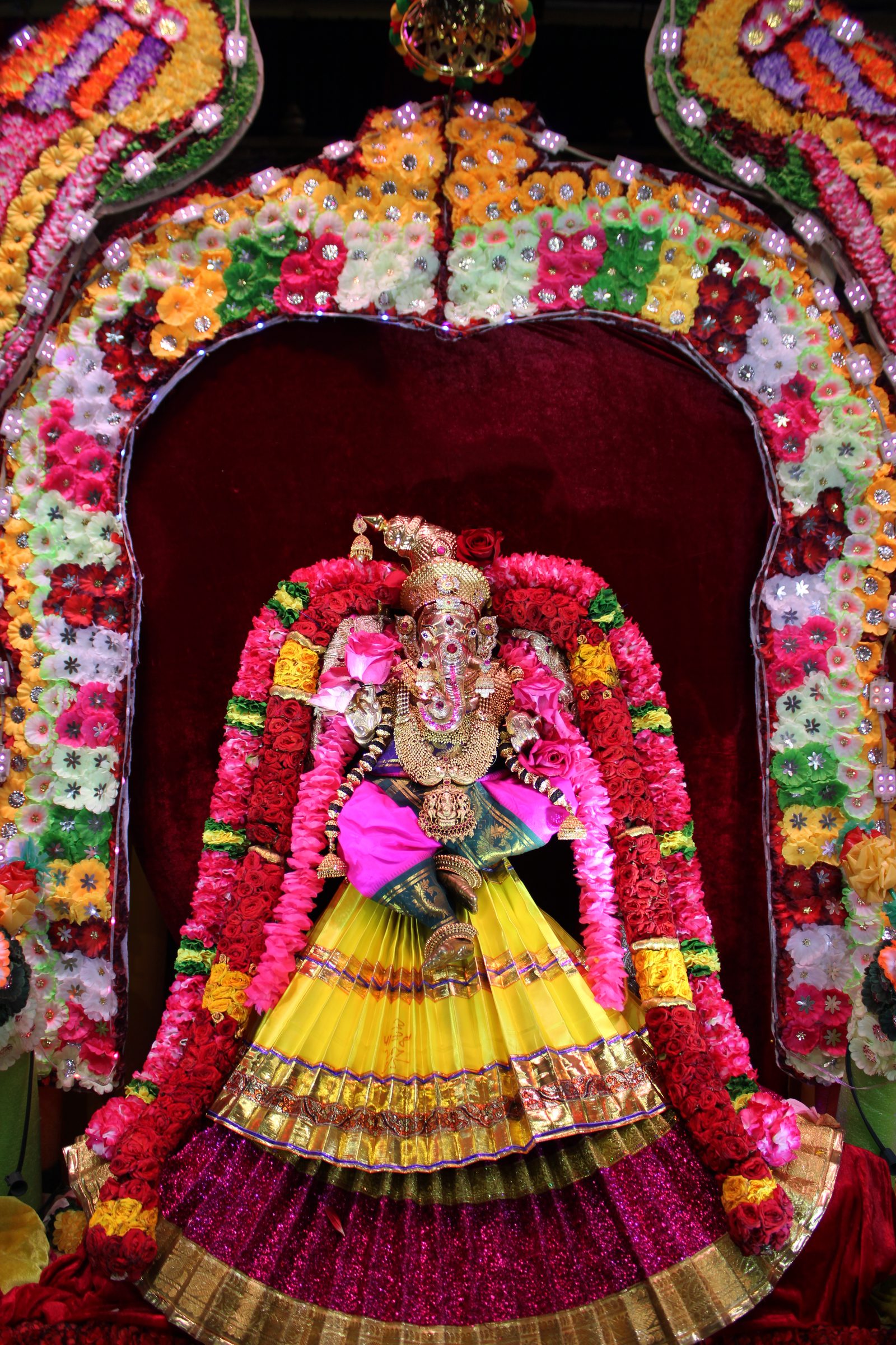 Festival 2024 photo