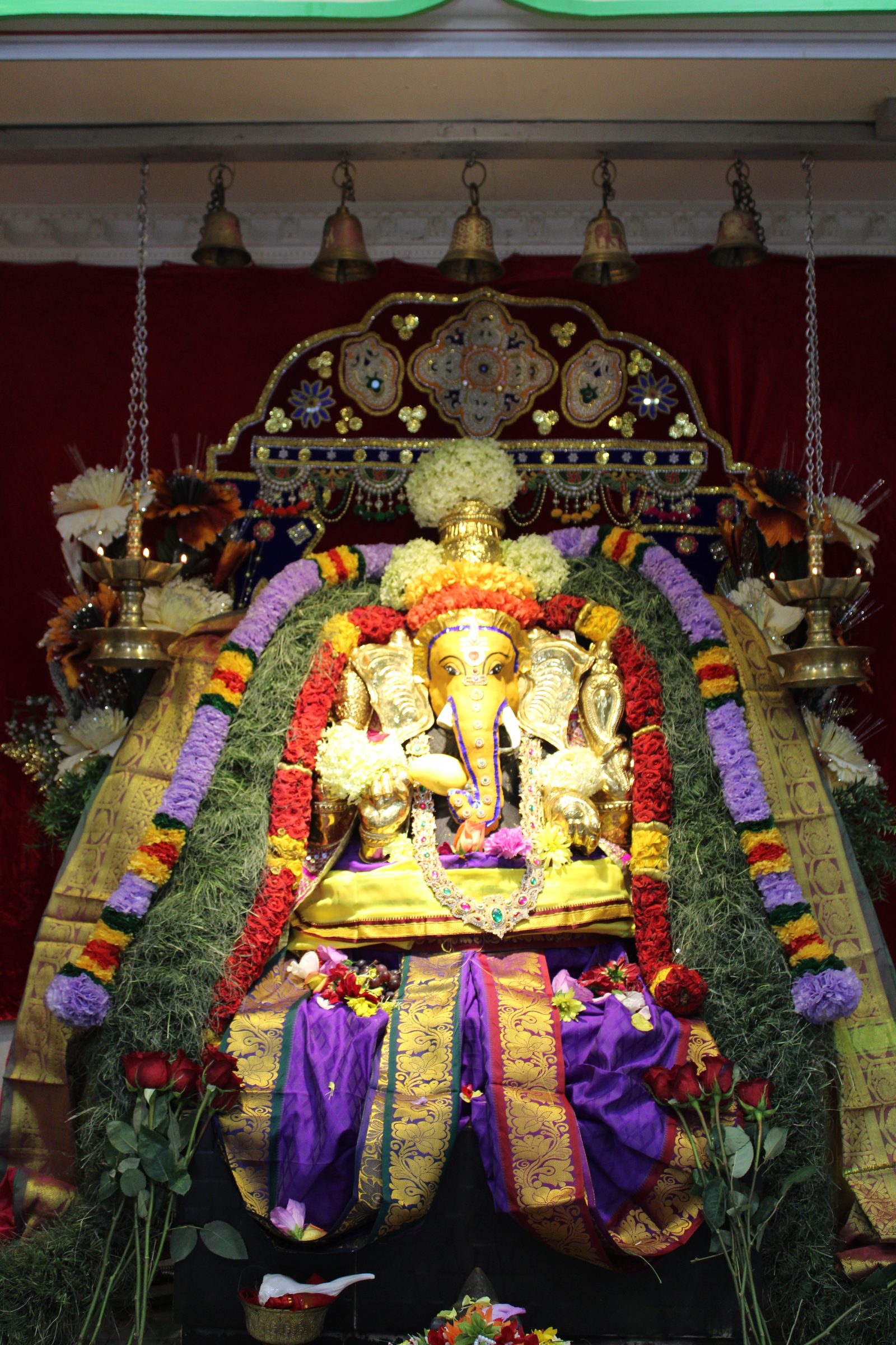 Festival 2024 photo