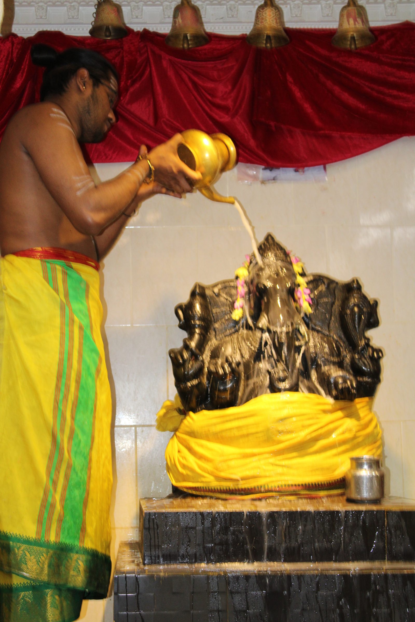 Festival 2024 photo
