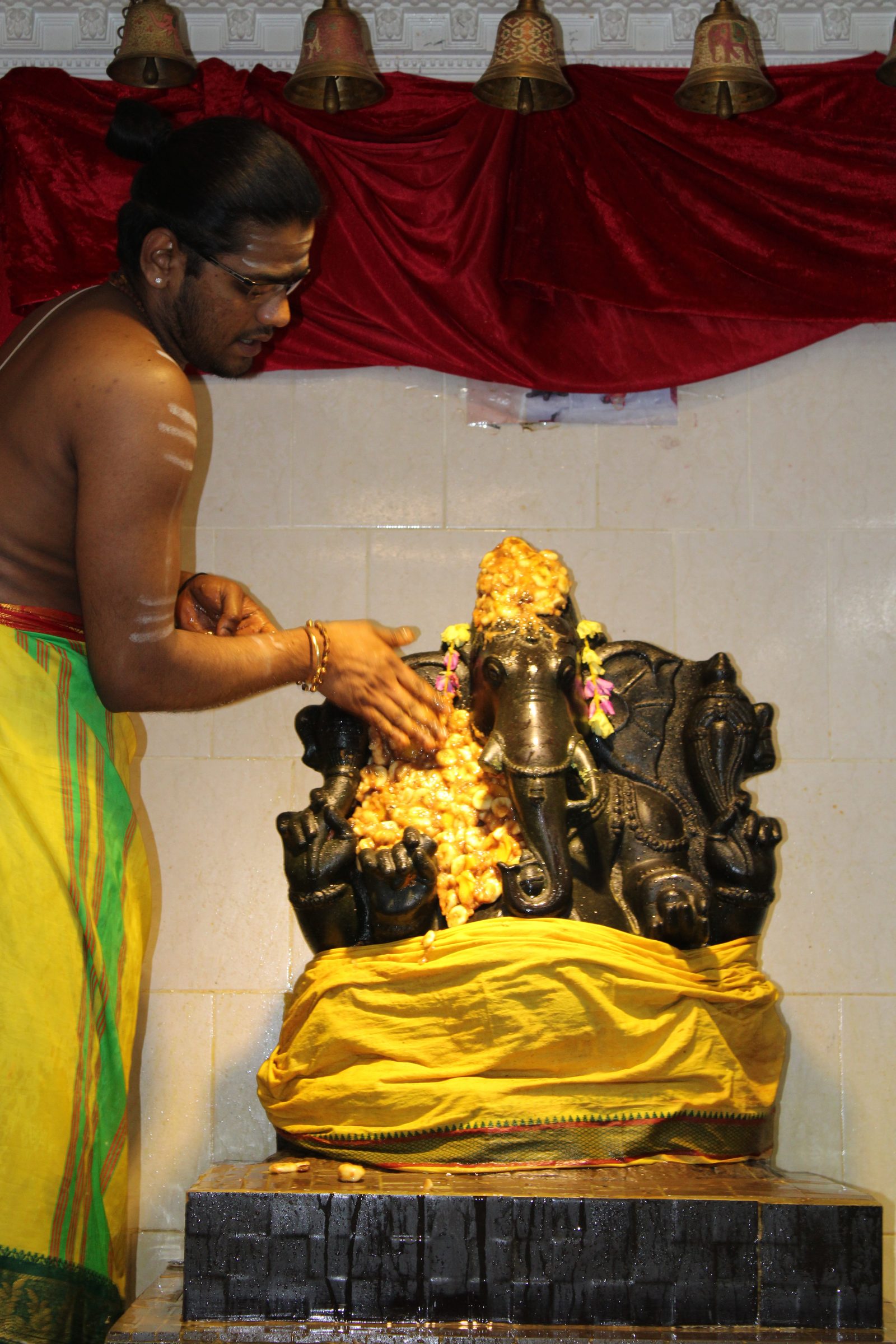 Festival 2024 photo