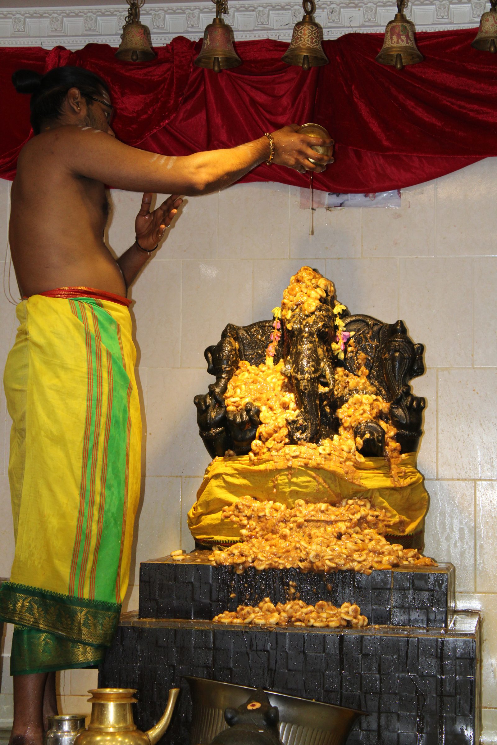 Festival 2024 photo