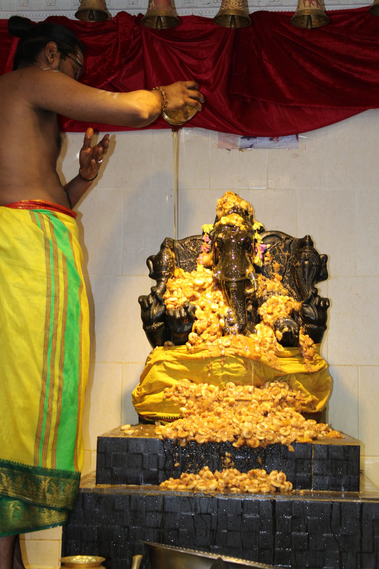 Festival 2024 photo