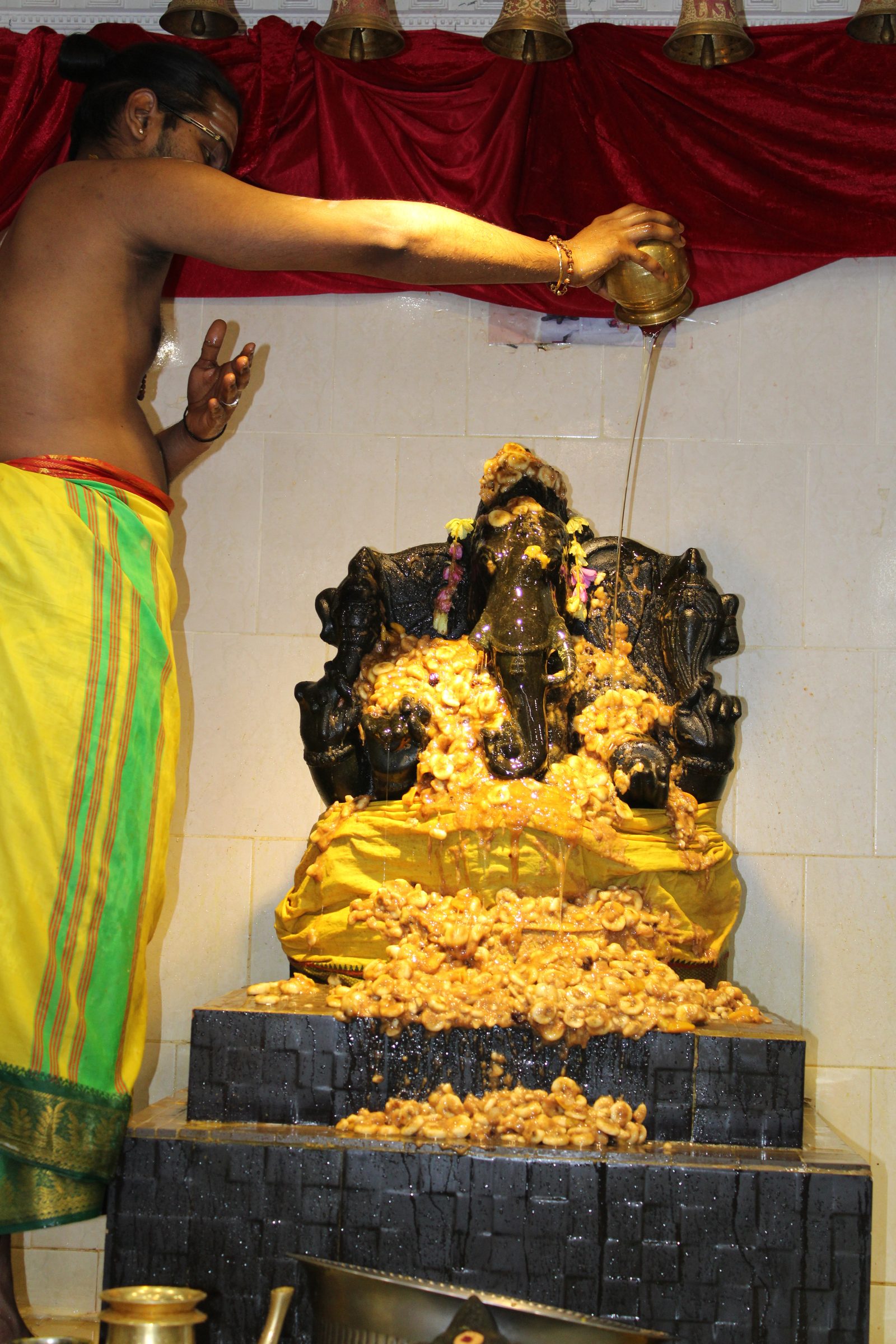 Festival 2024 photo