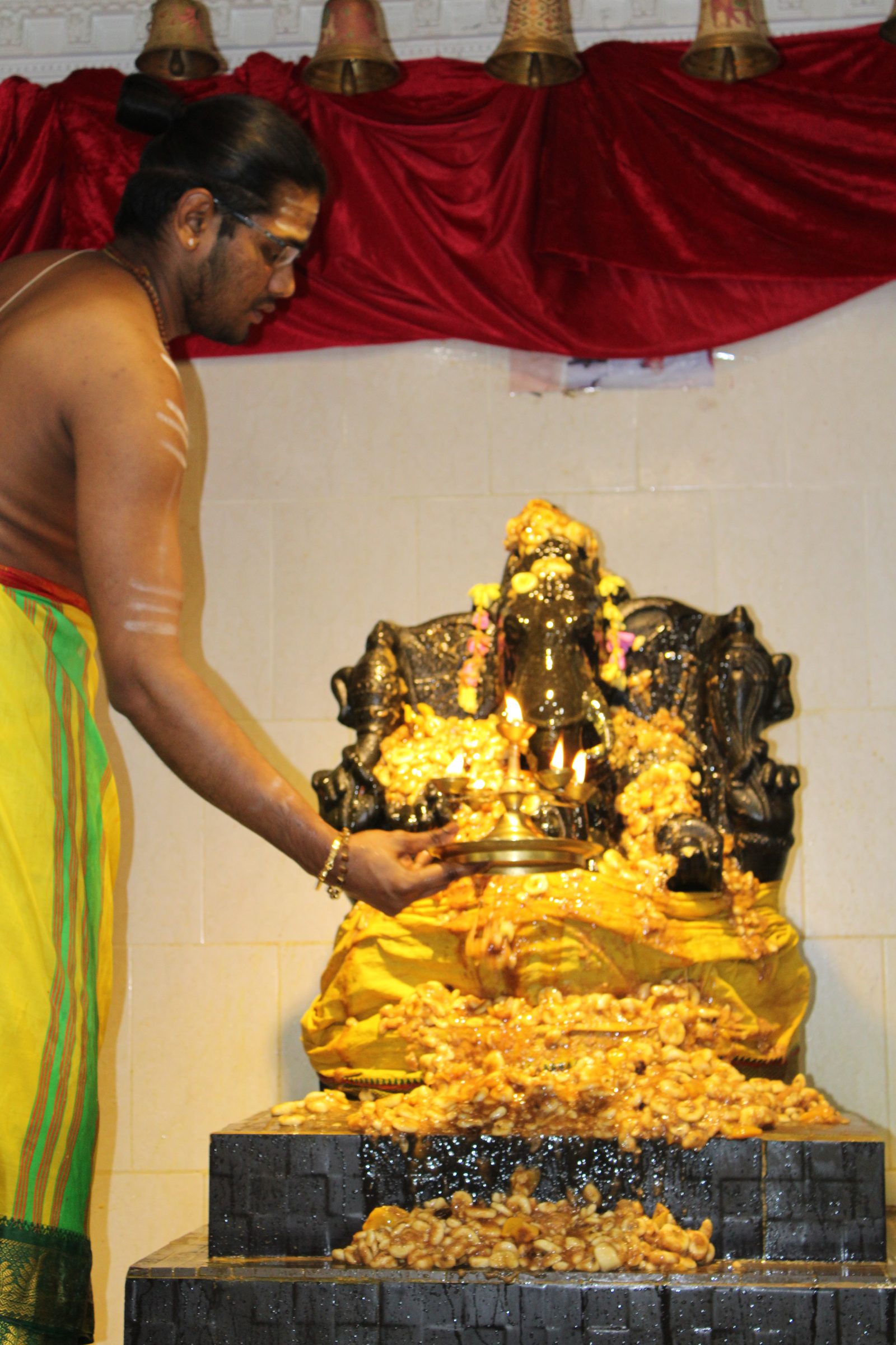 Festival 2024 photo