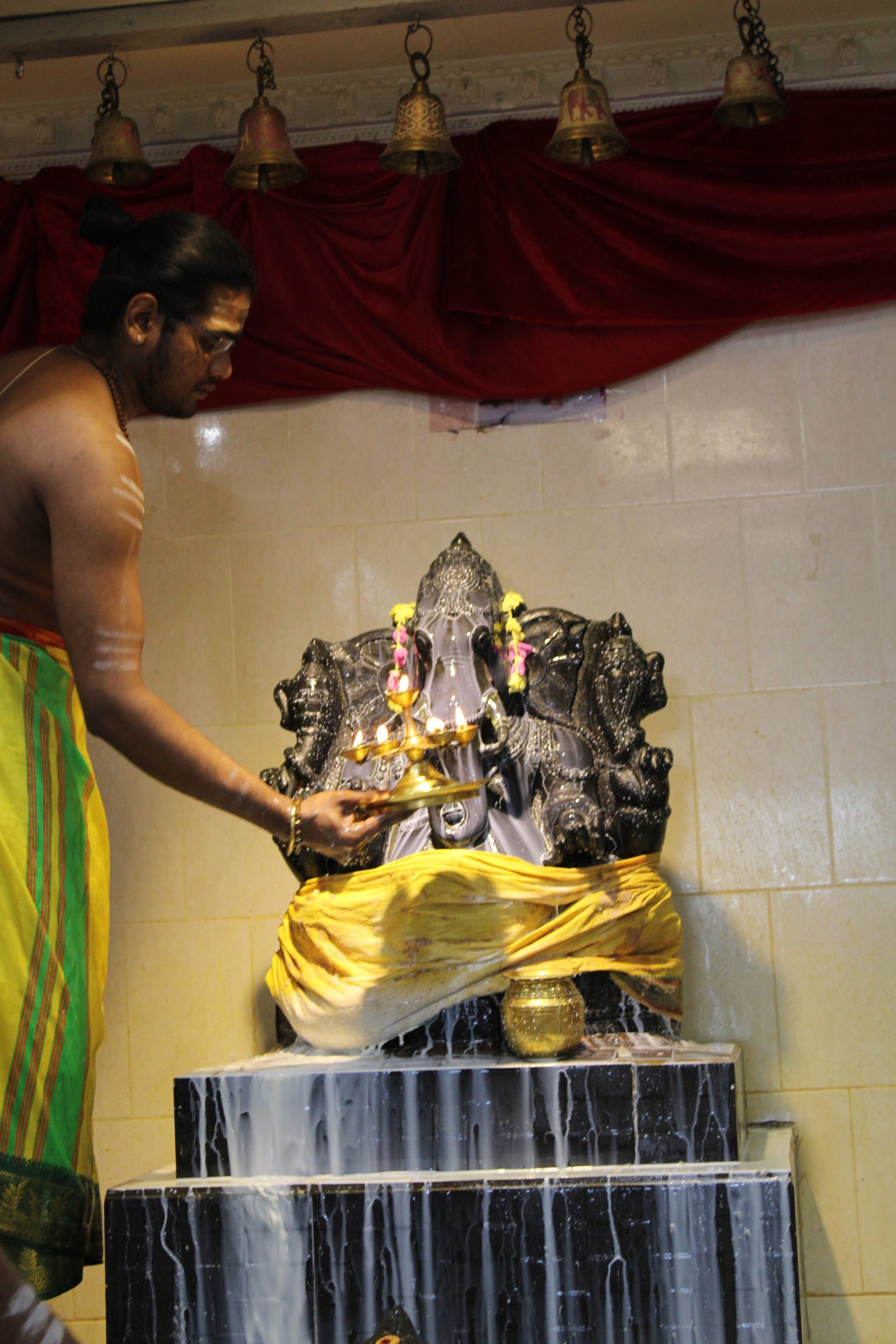 Festival 2024 photo