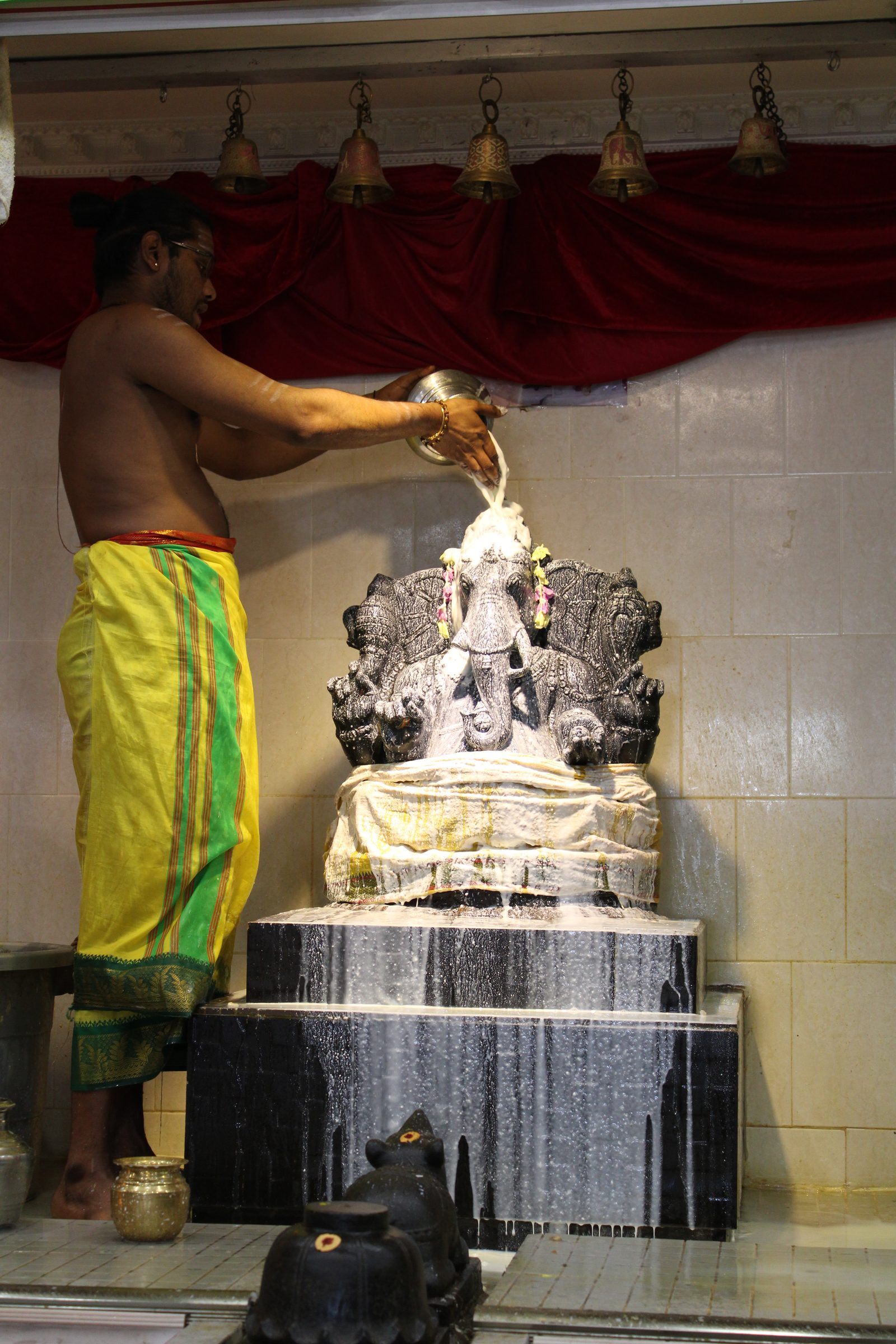 Festival 2024 photo