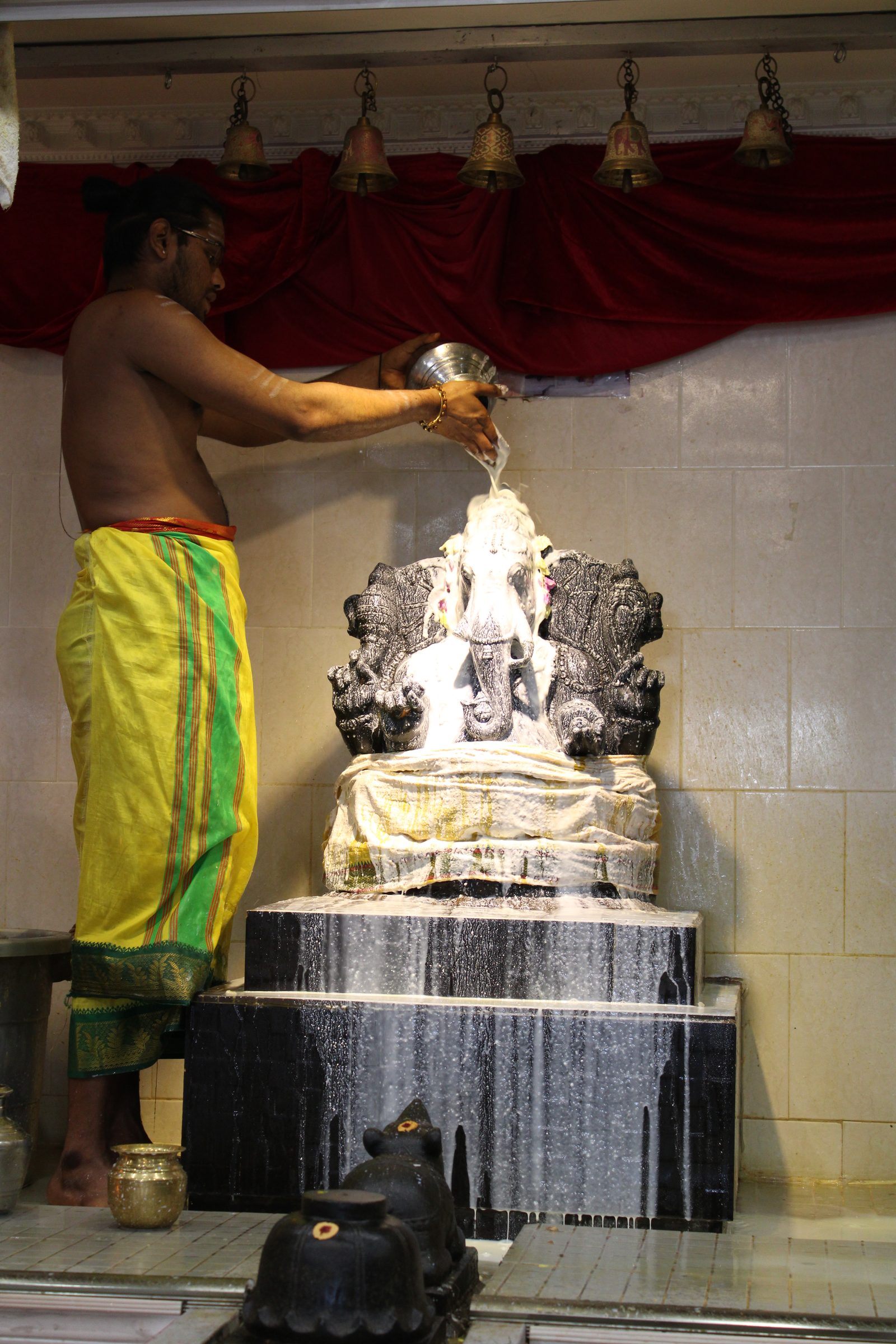 Festival 2024 photo