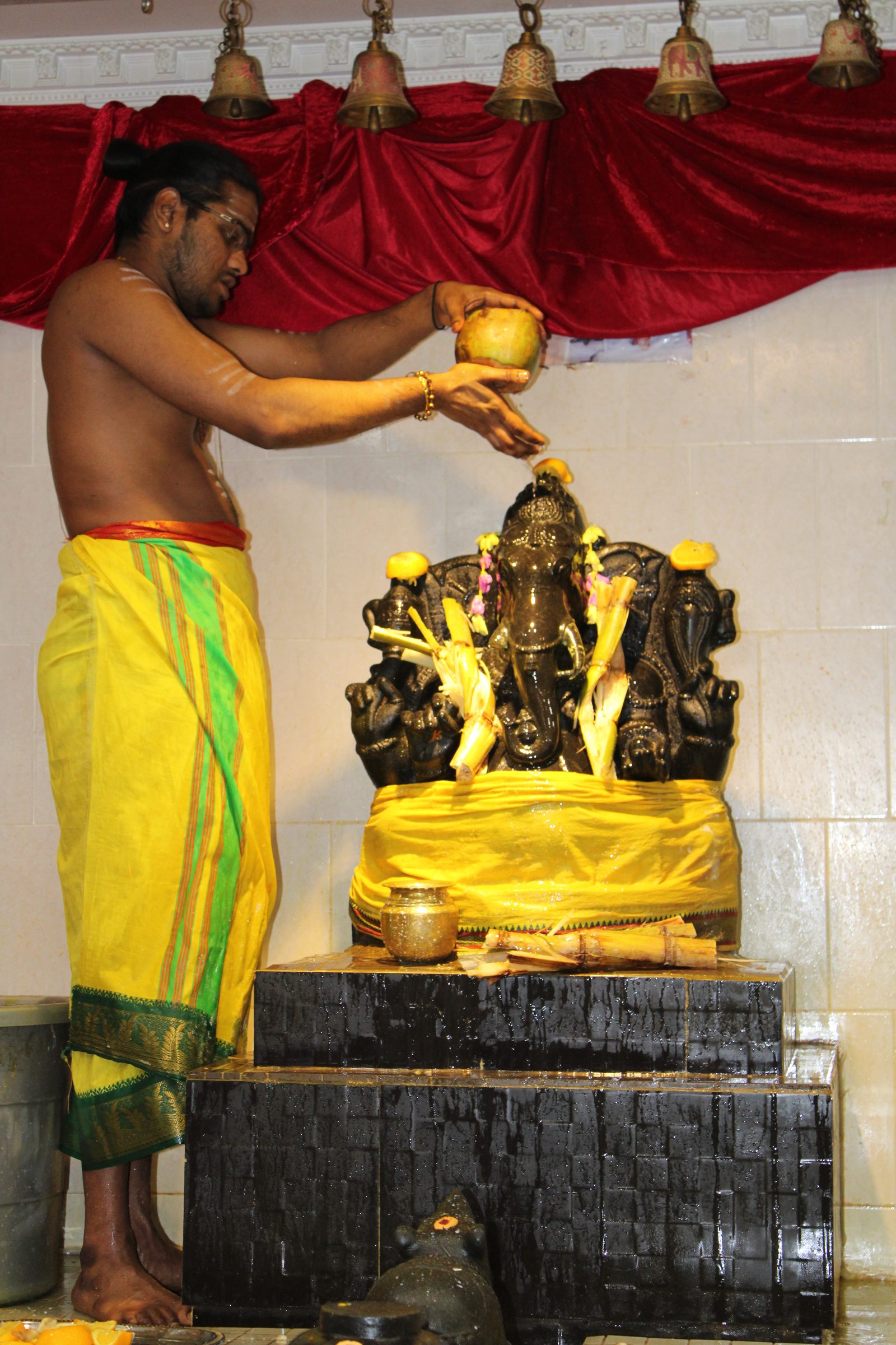 Festival 2024 photo