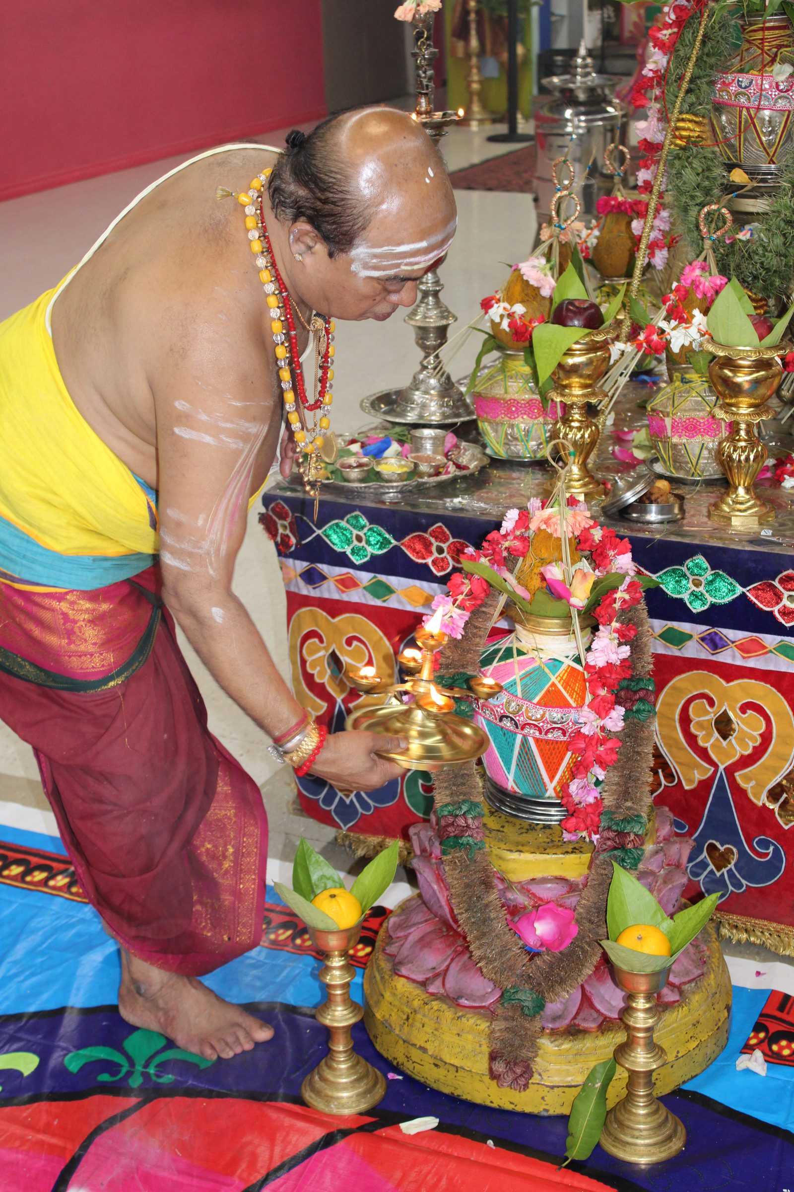 Festival 2024 photo