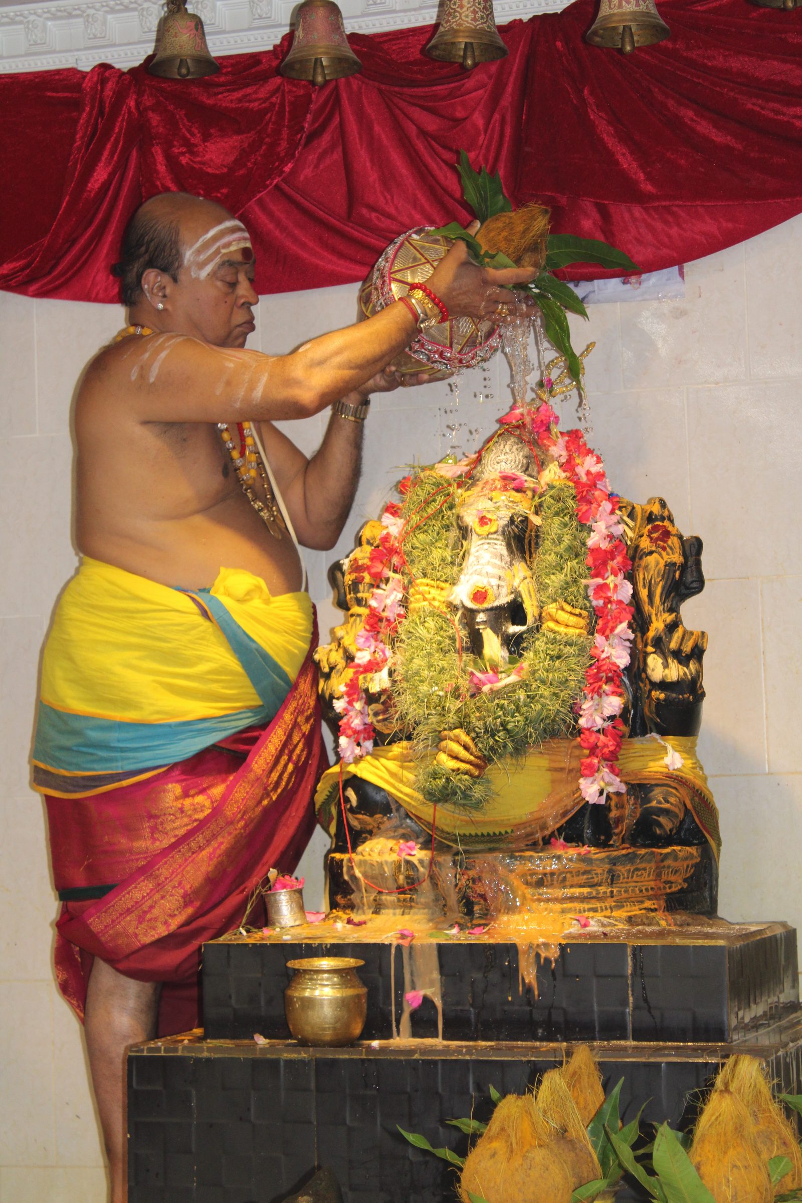 Festival 2024 photo