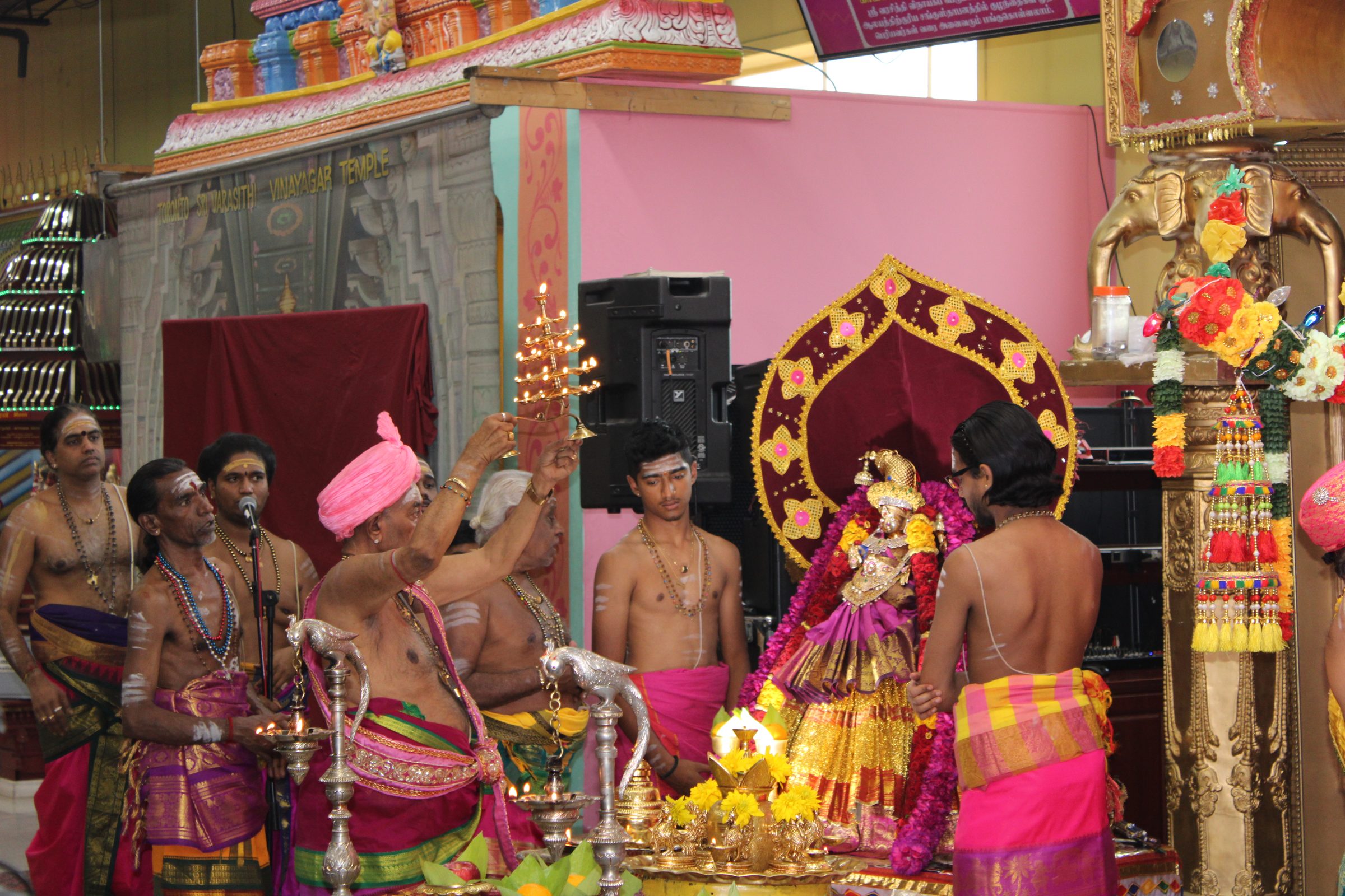 Festival 2024 photo