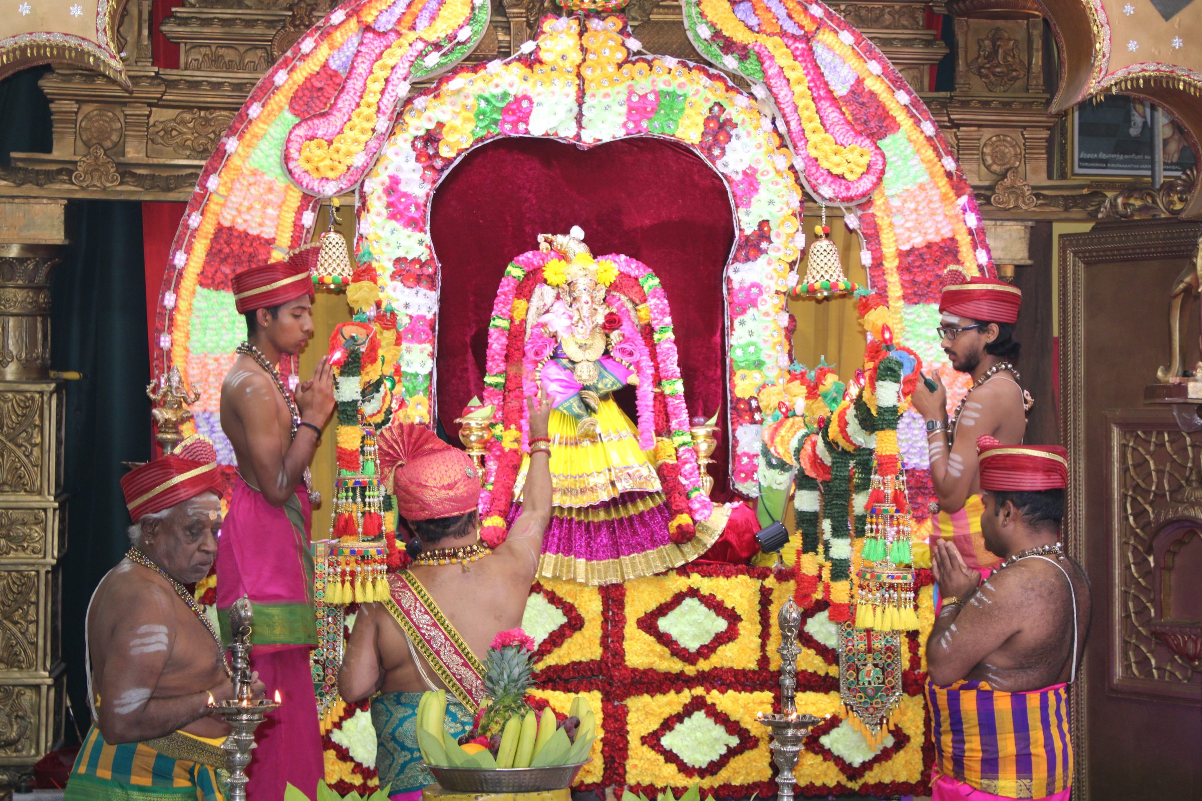Festival 2024 photo