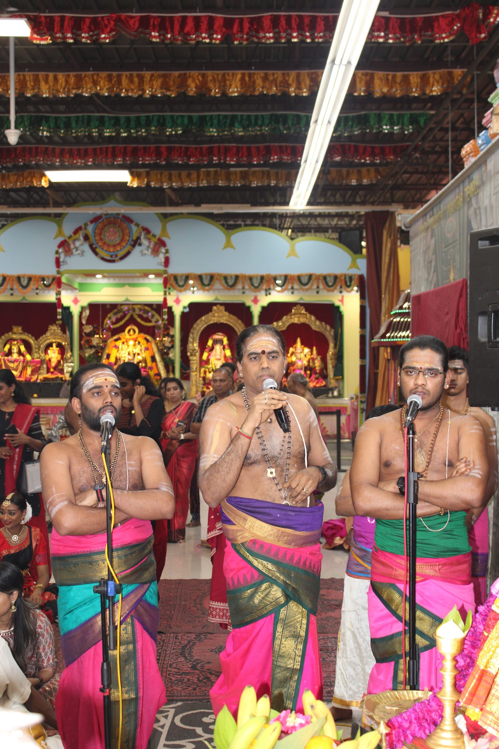 Festival 2024 photo