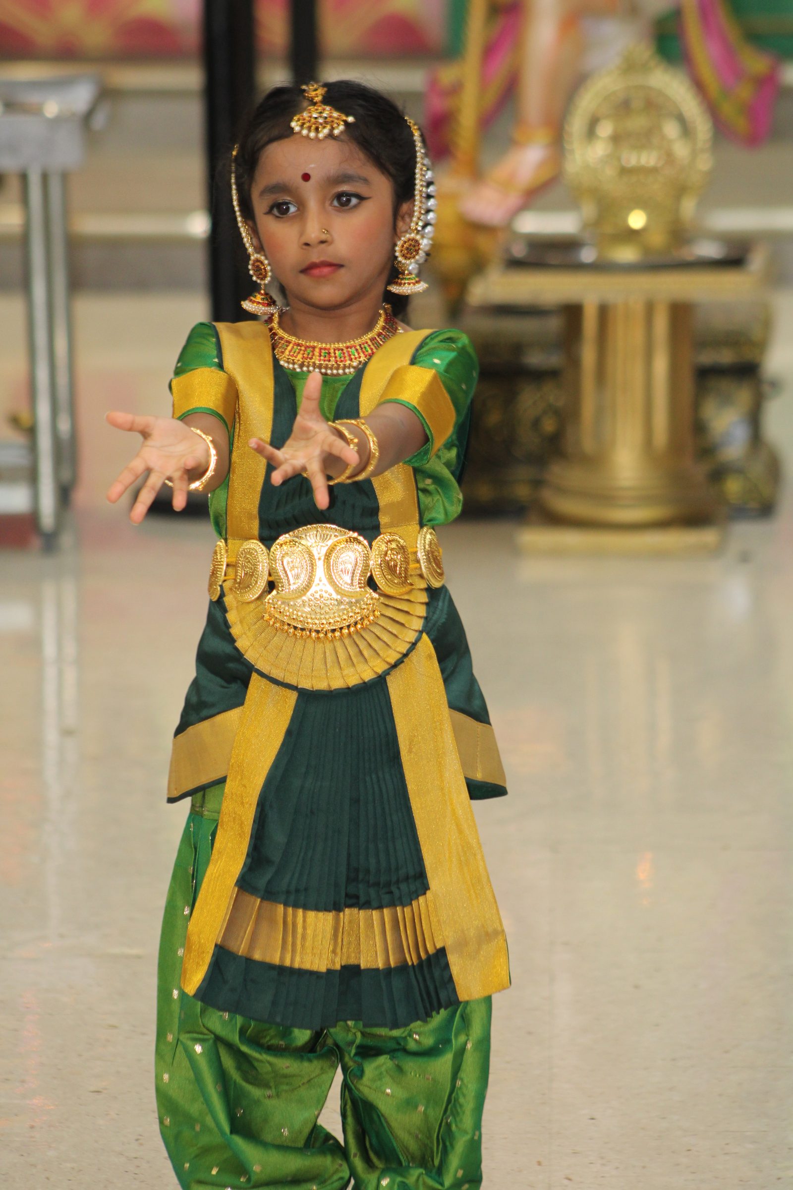 Festival 2024 photo