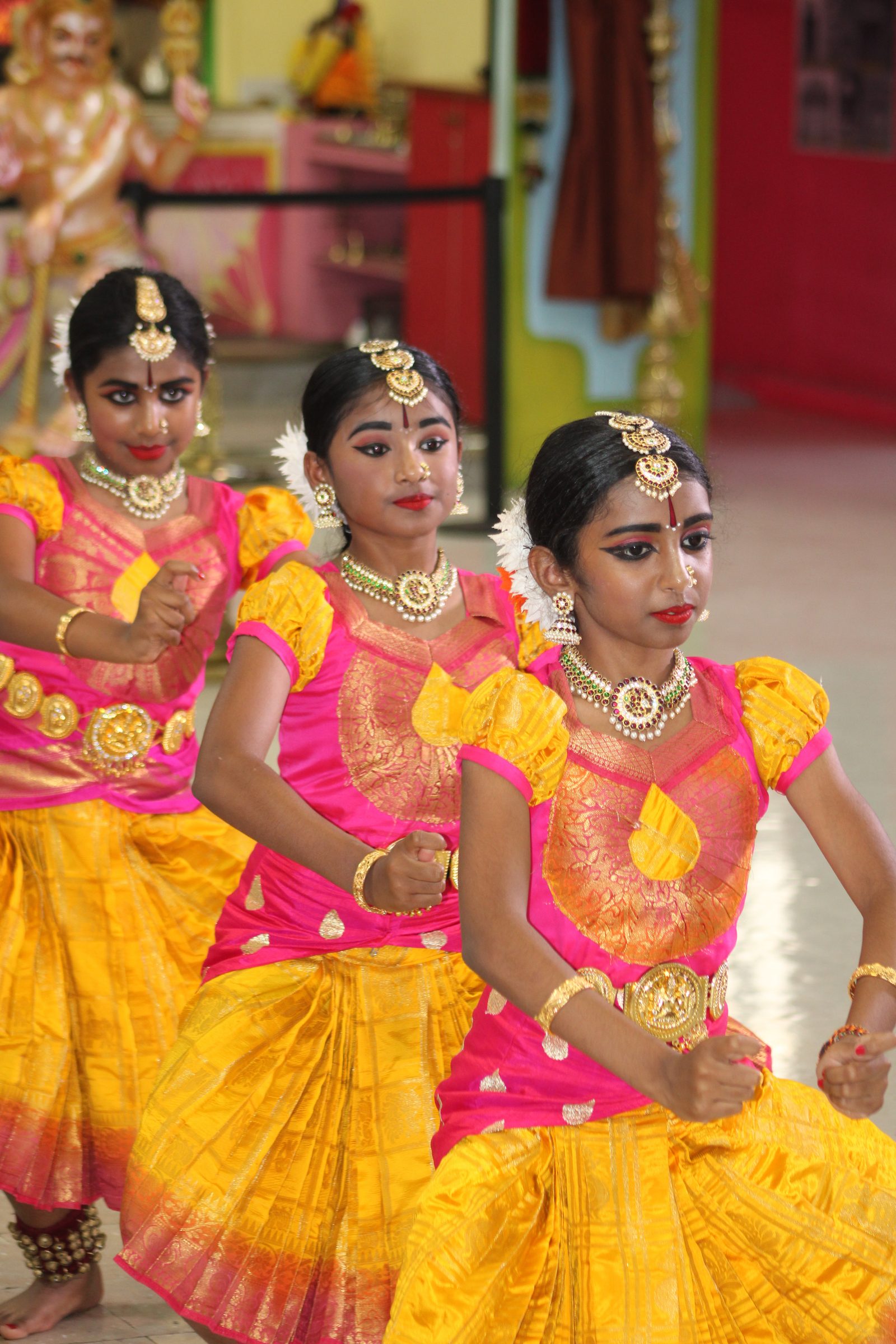 Festival 2024 photo