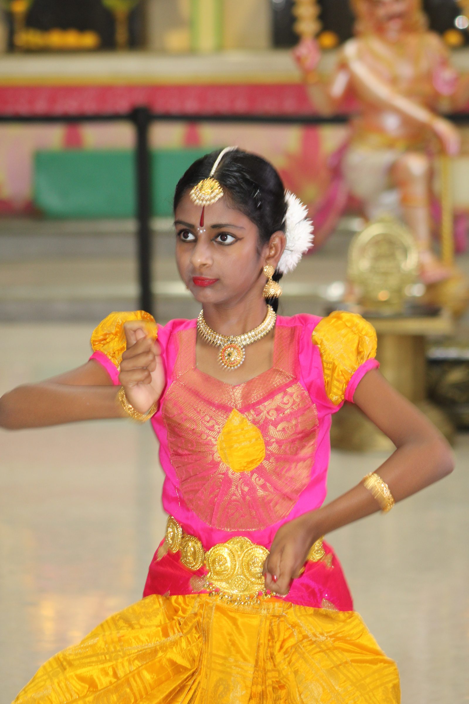Festival 2024 photo