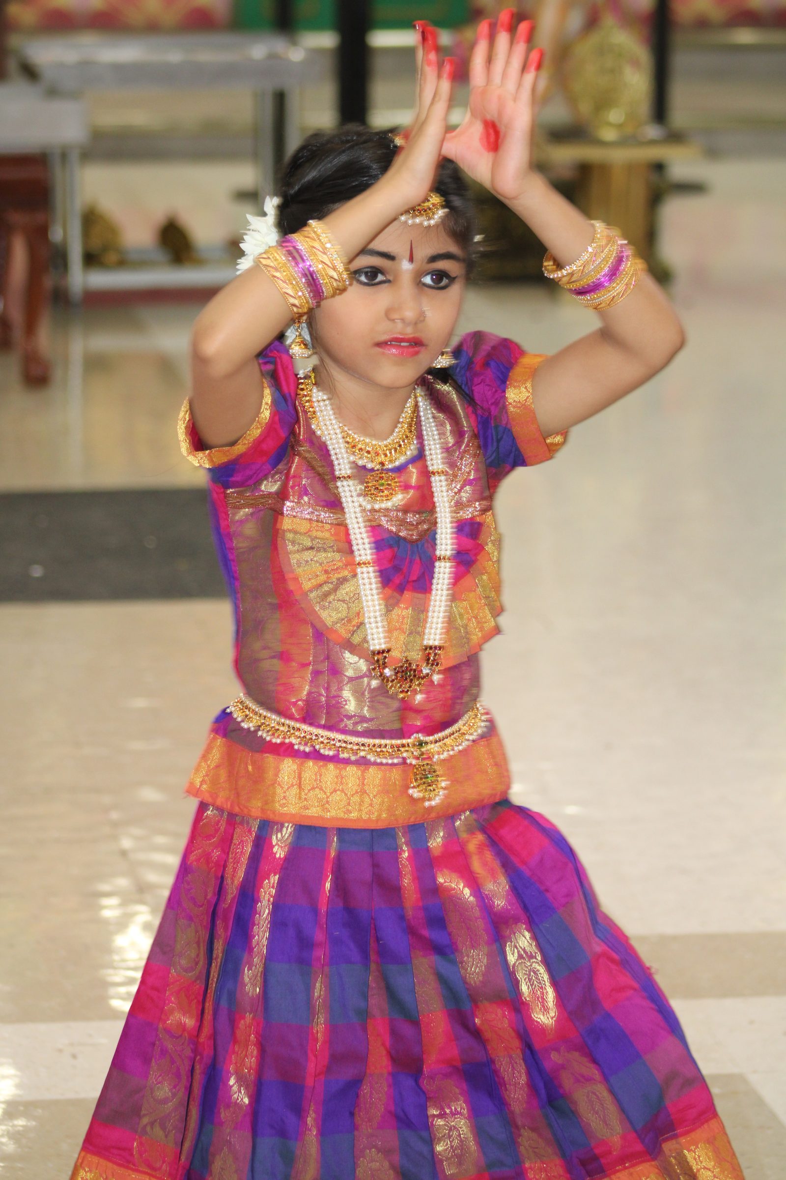 Festival 2024 photo