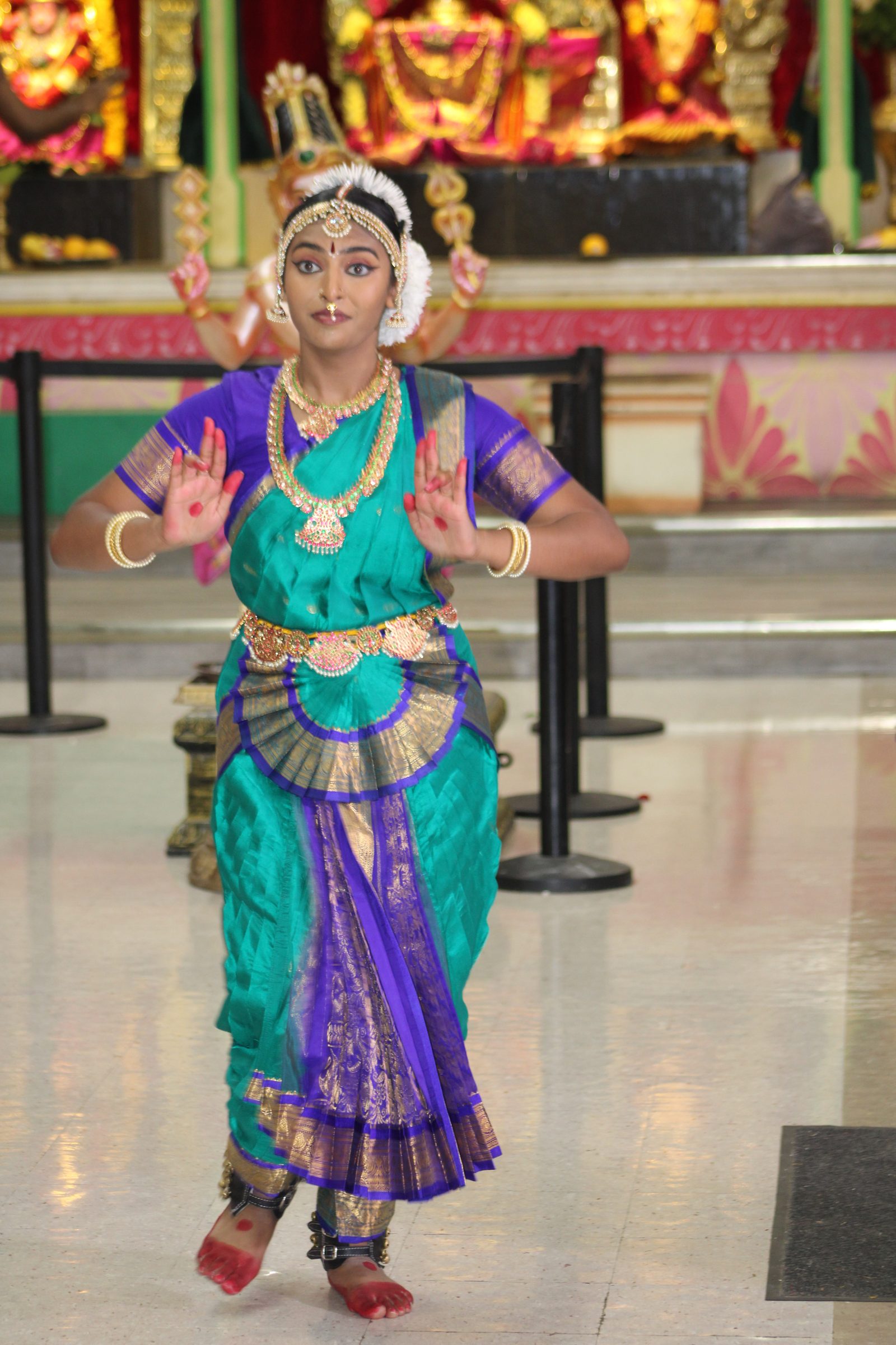 Festival 2024 photo