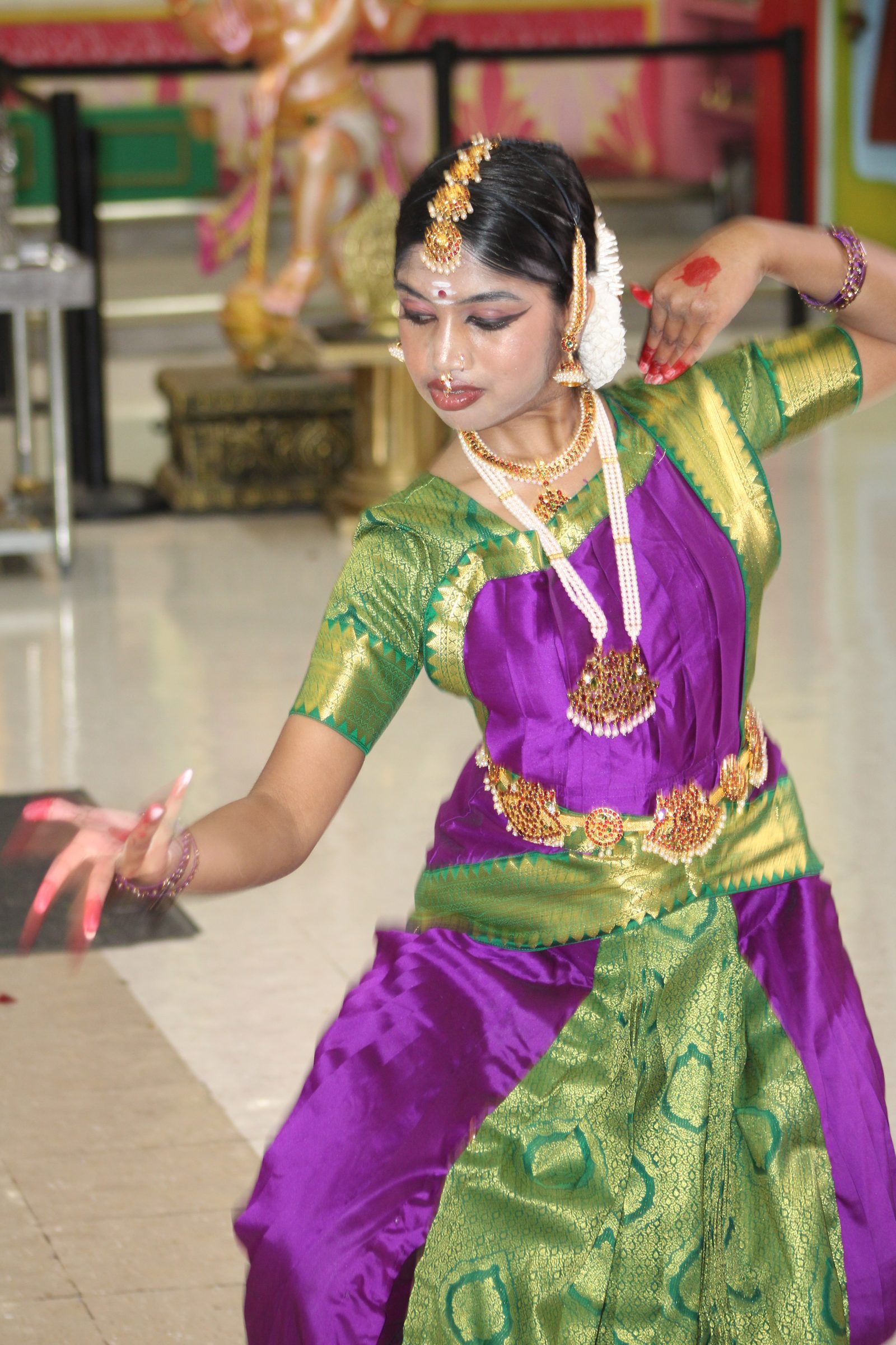 Festival 2024 photo