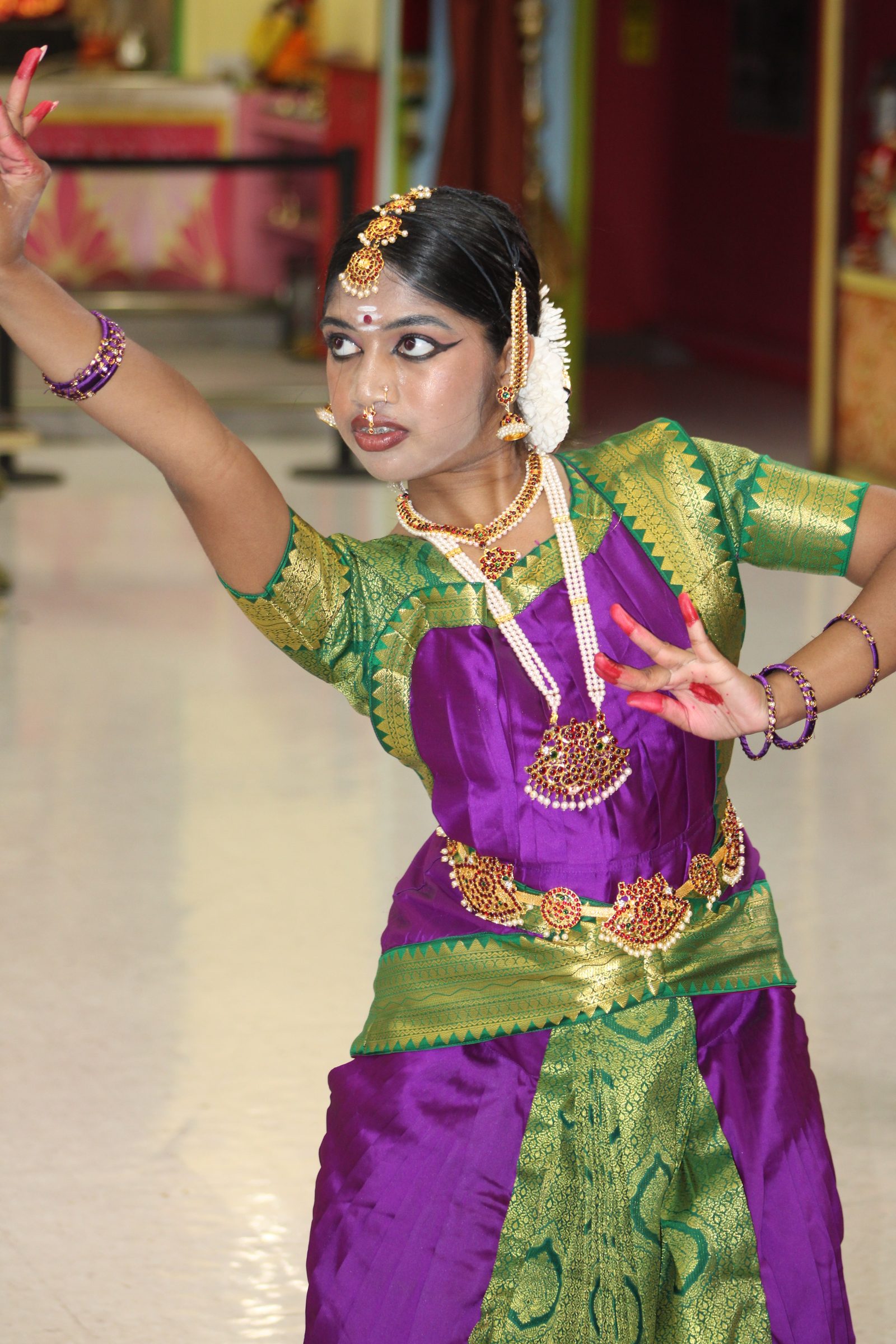 Festival 2024 photo