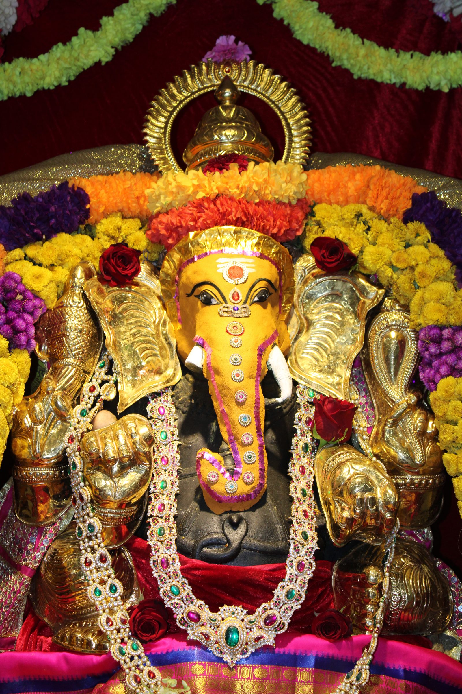 Festival 2024 photo