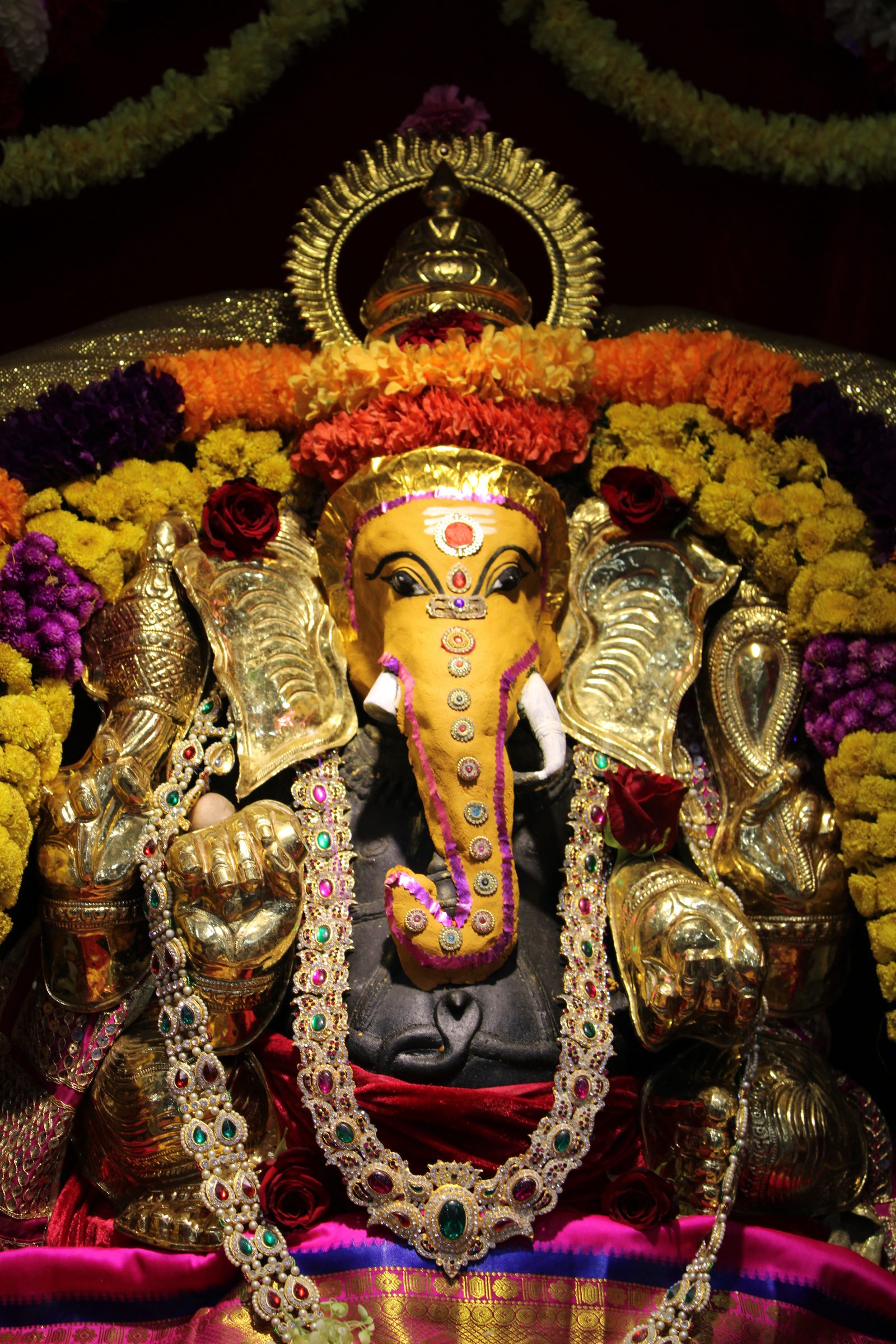 Festival 2024 photo