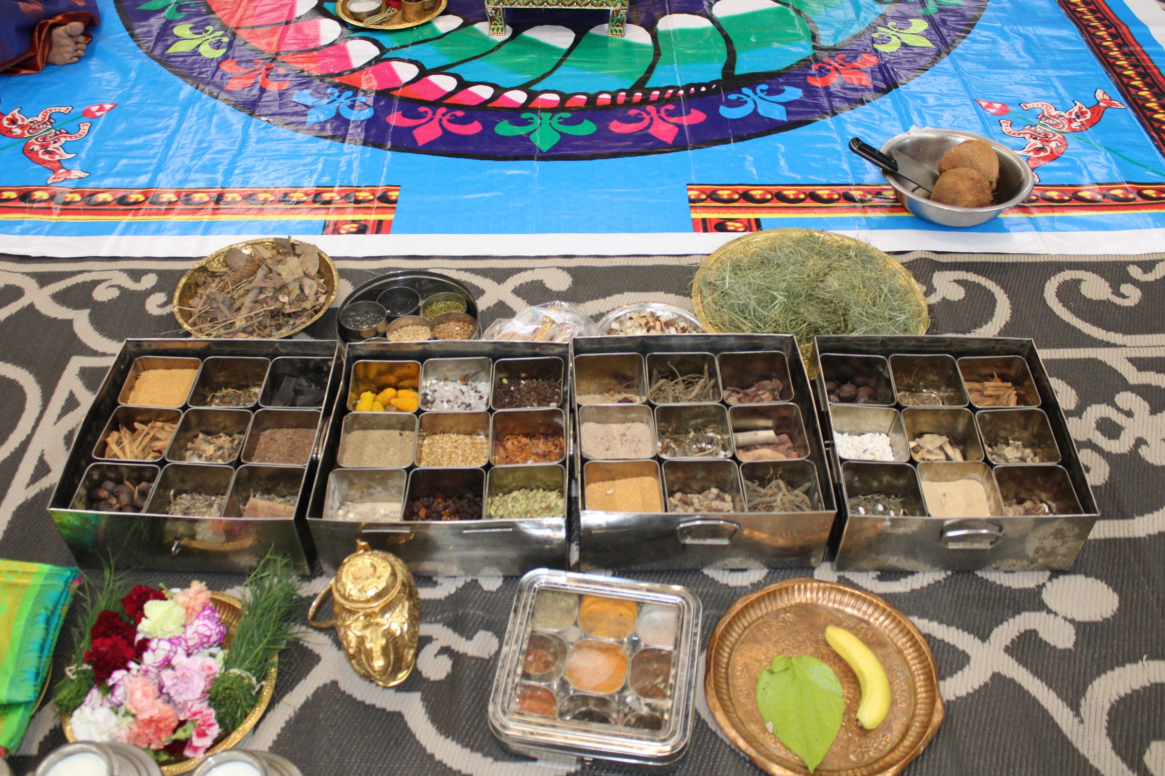 Festival 2024 photo