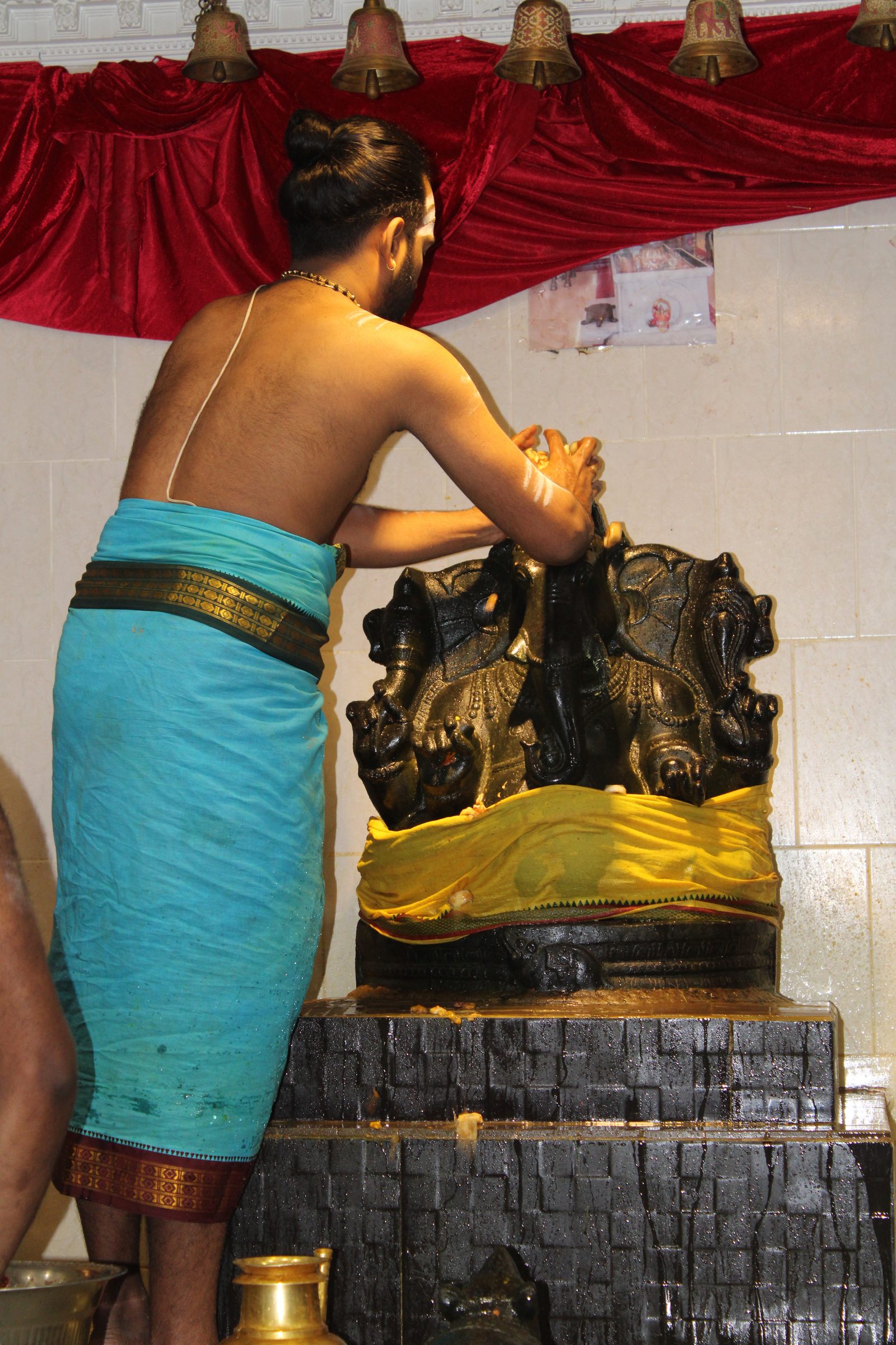 Festival 2024 photo