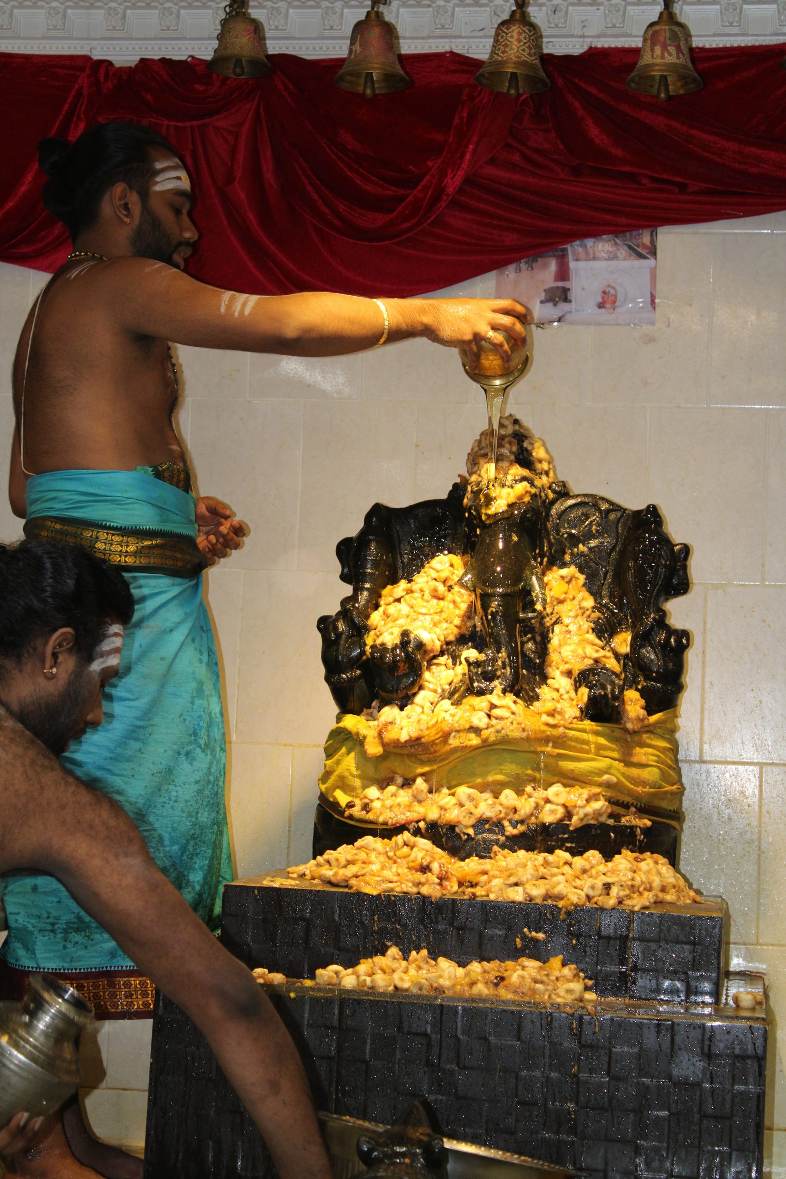 Festival 2024 photo