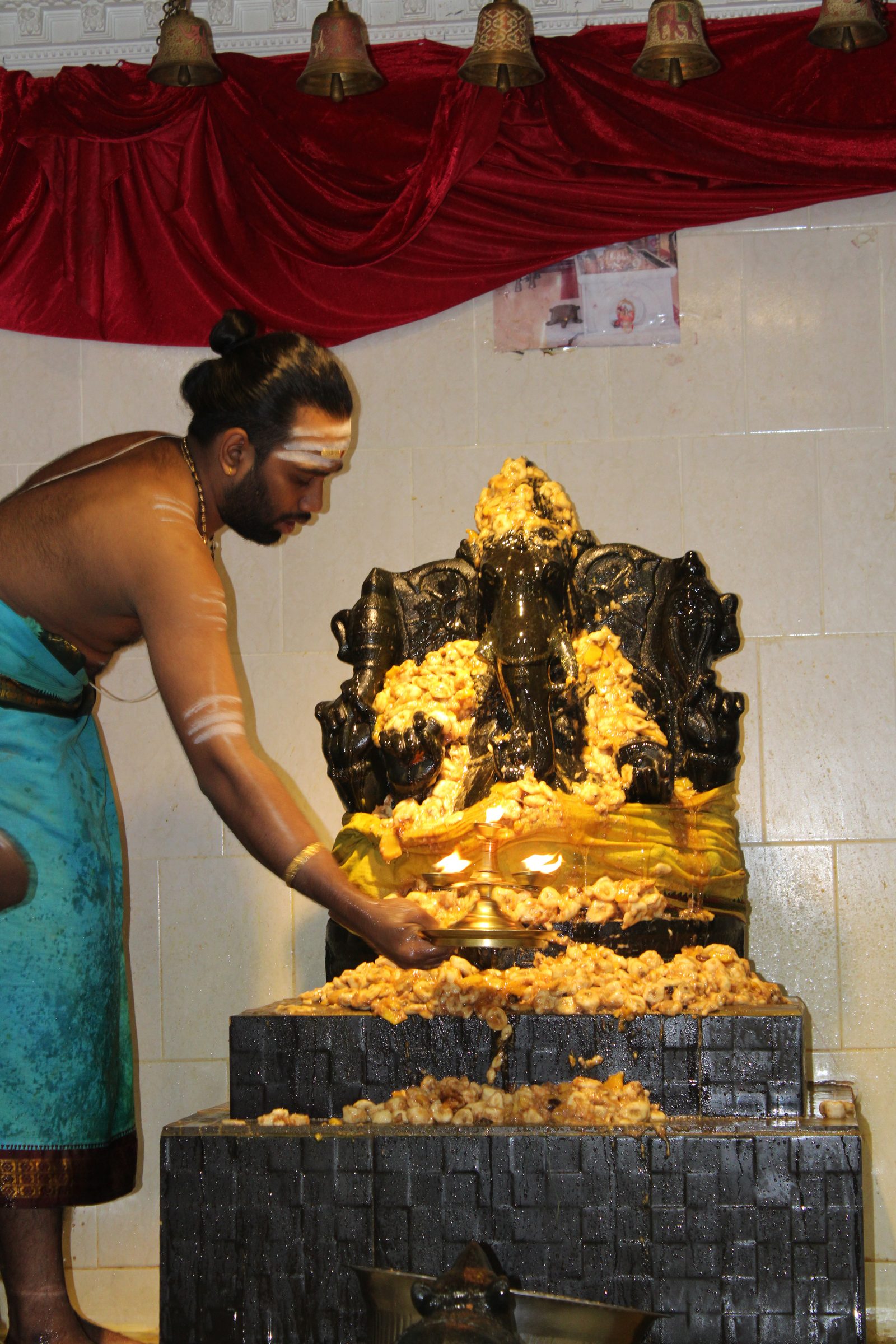 Festival 2024 photo