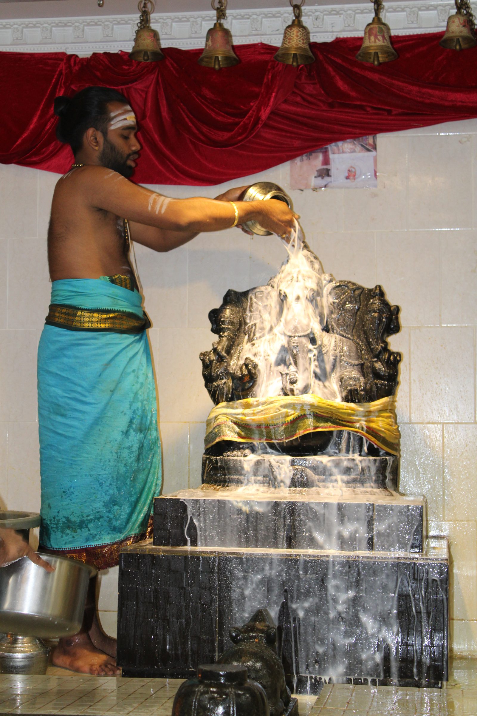 Festival 2024 photo