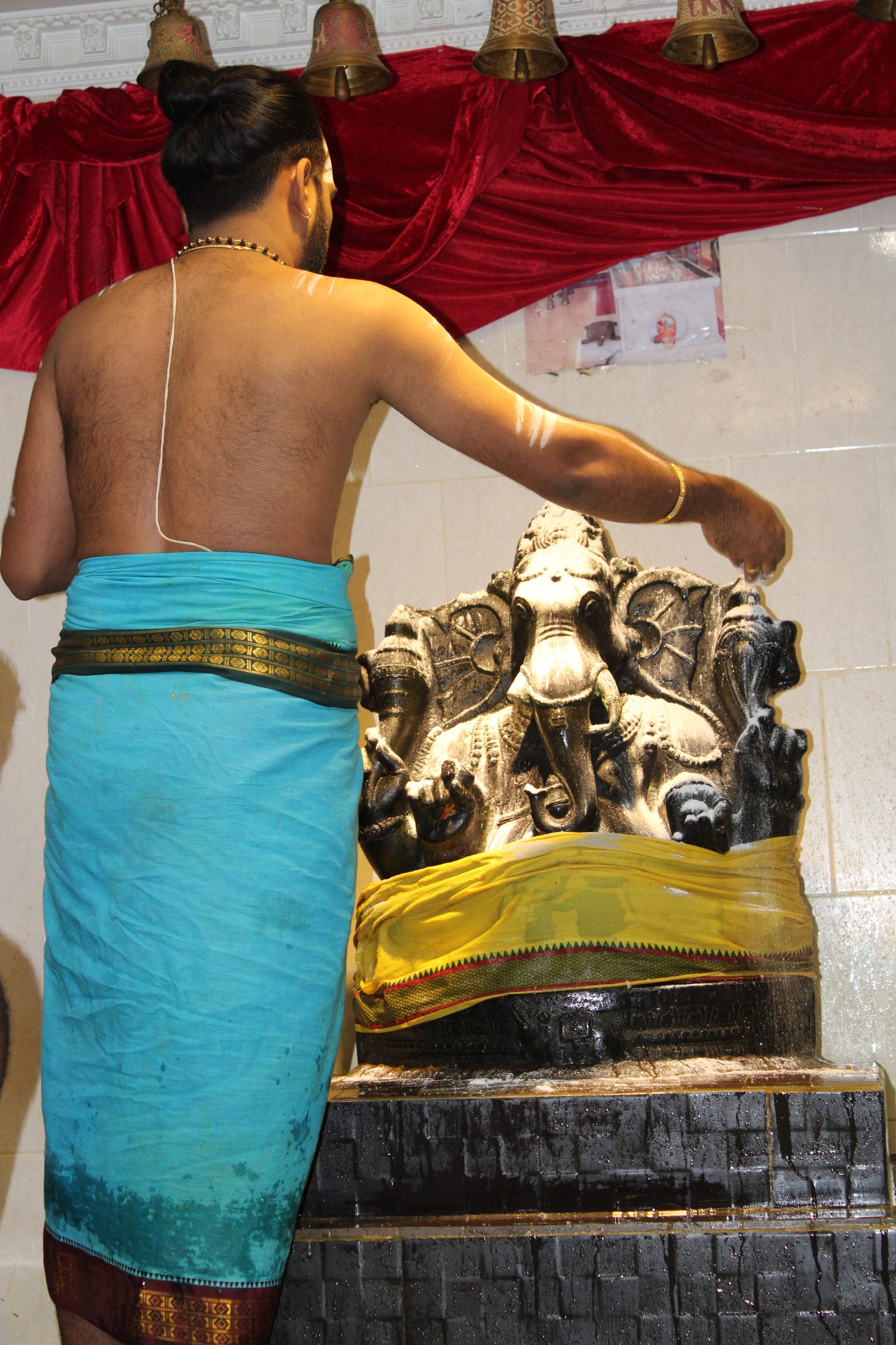 Festival 2024 photo