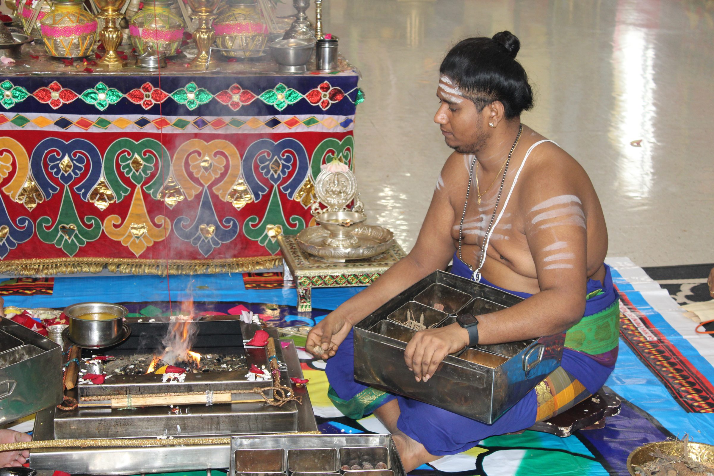 Festival 2024 photo