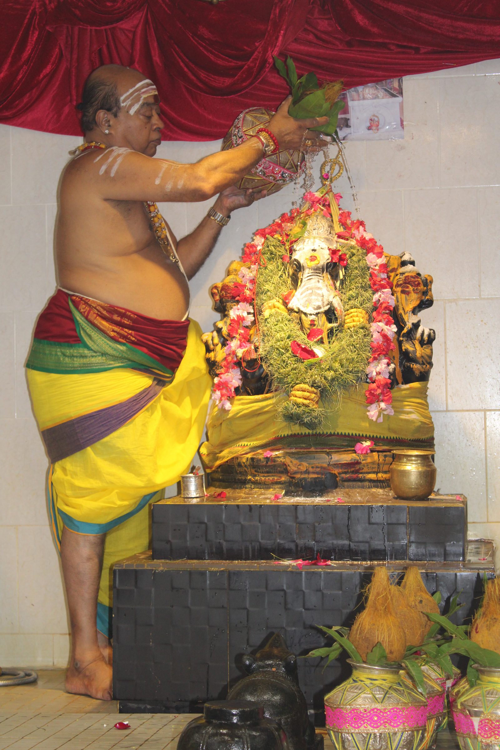 Festival 2024 photo