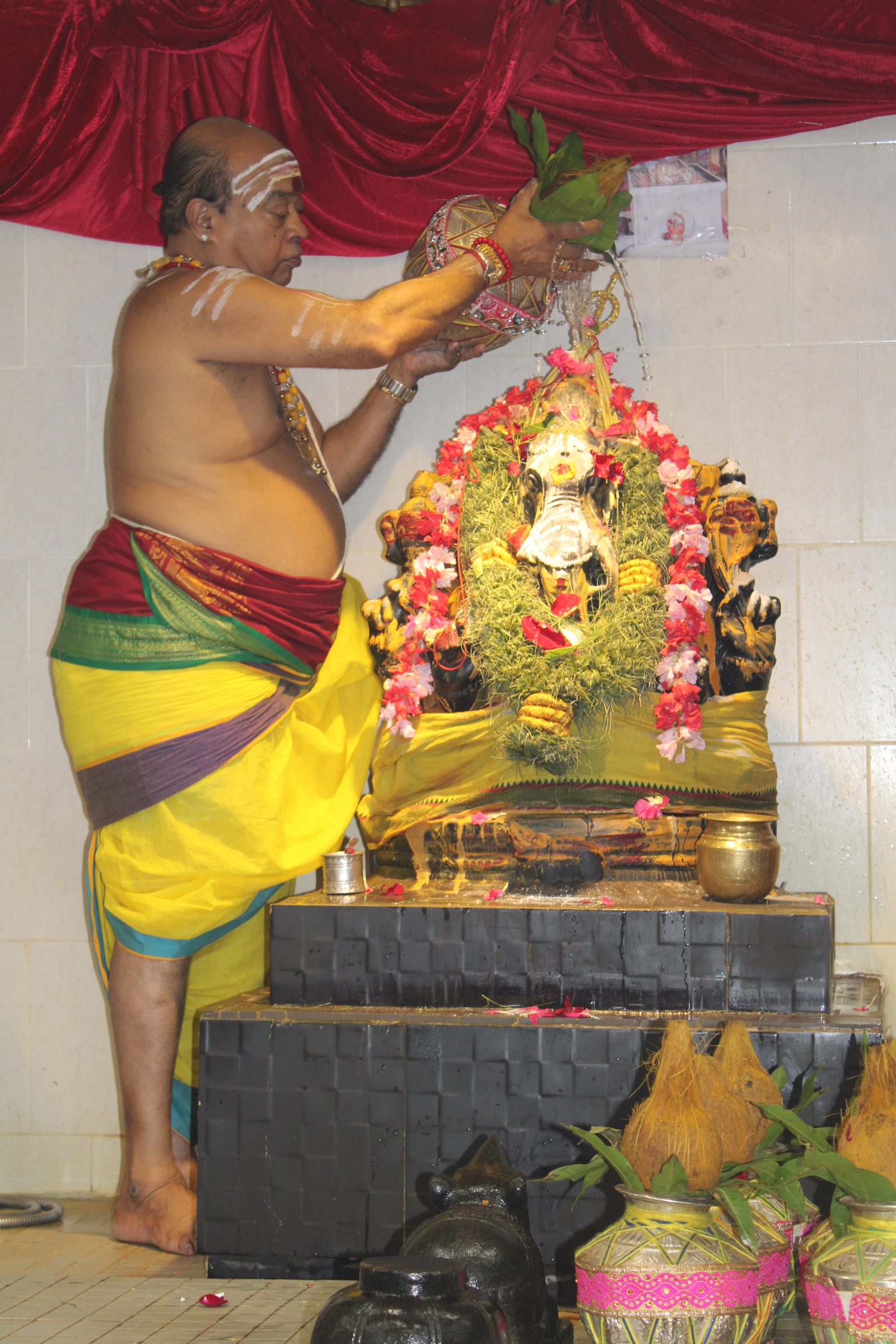 Festival 2024 photo