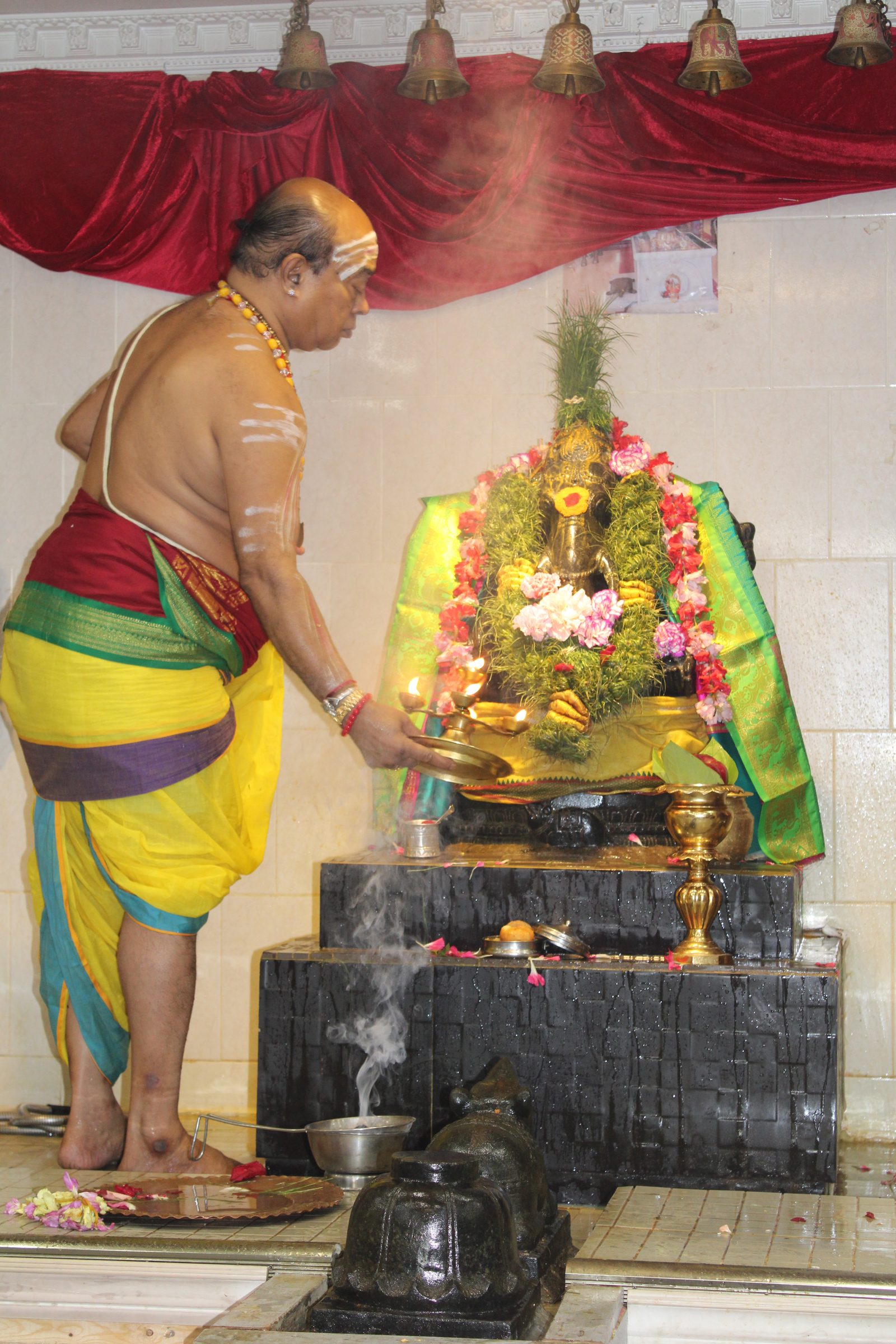 Festival 2024 photo