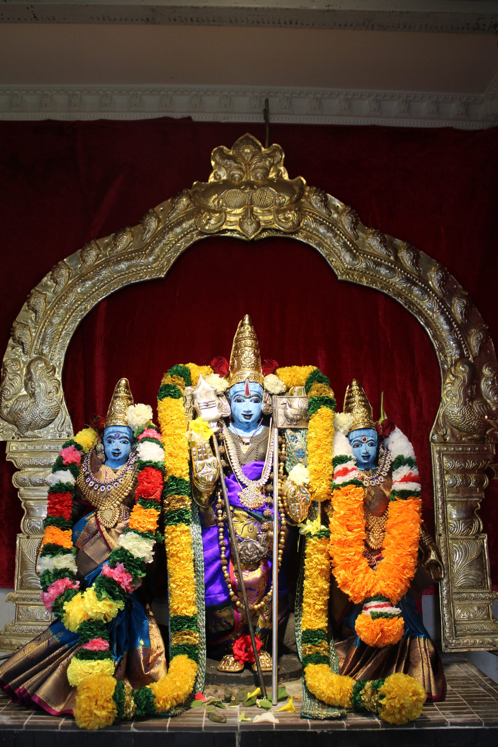 Festival 2024 photo