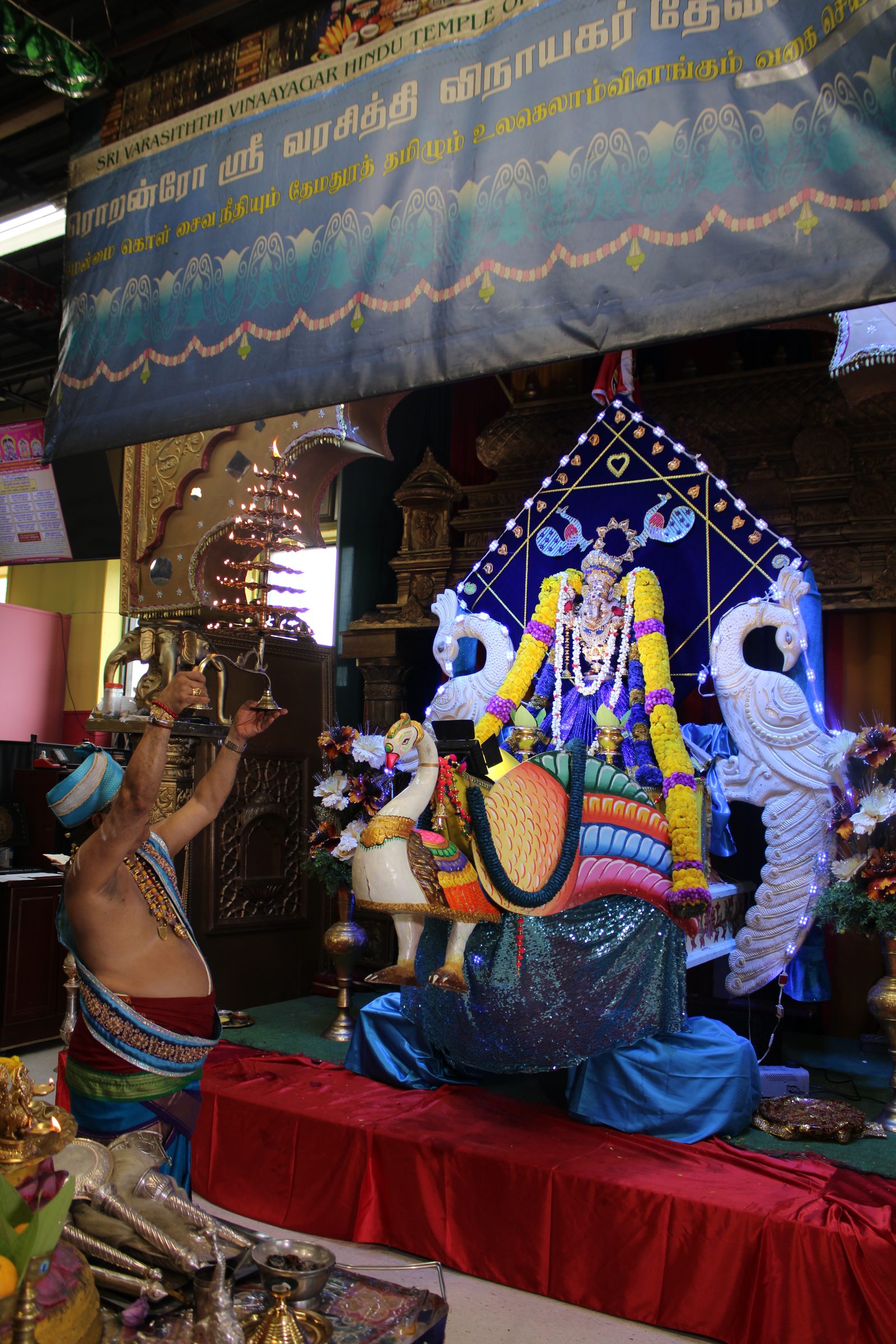 Festival 2024 photo