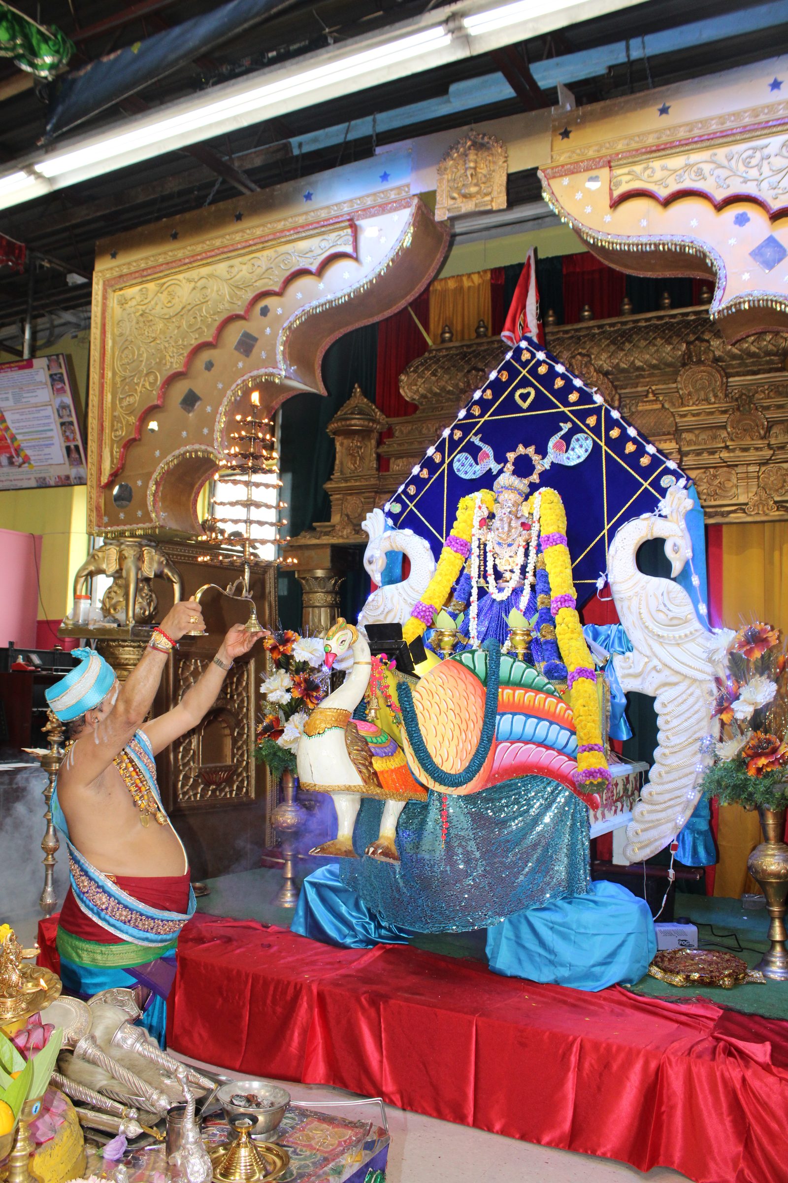 Festival 2024 photo