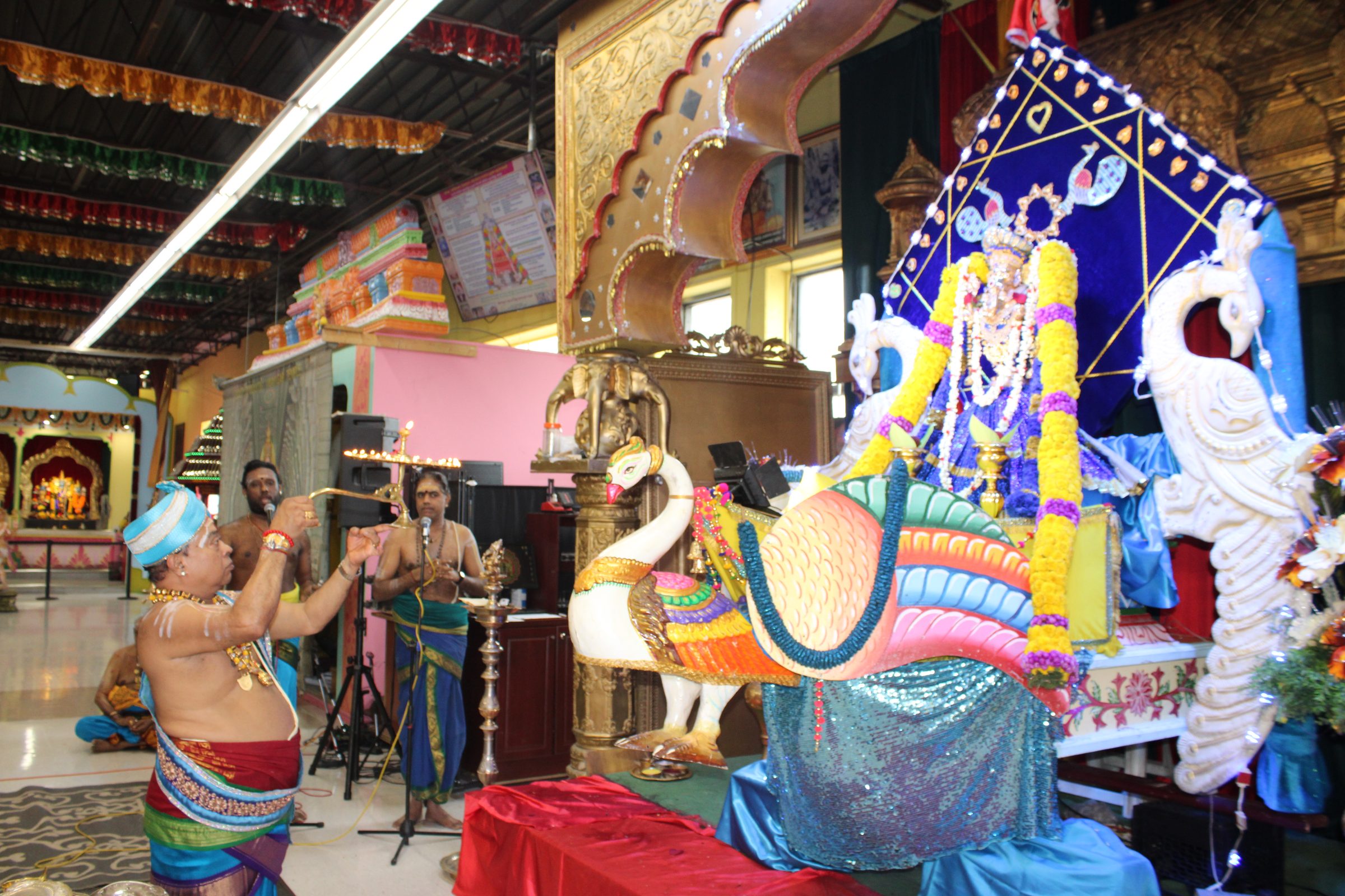 Festival 2024 photo
