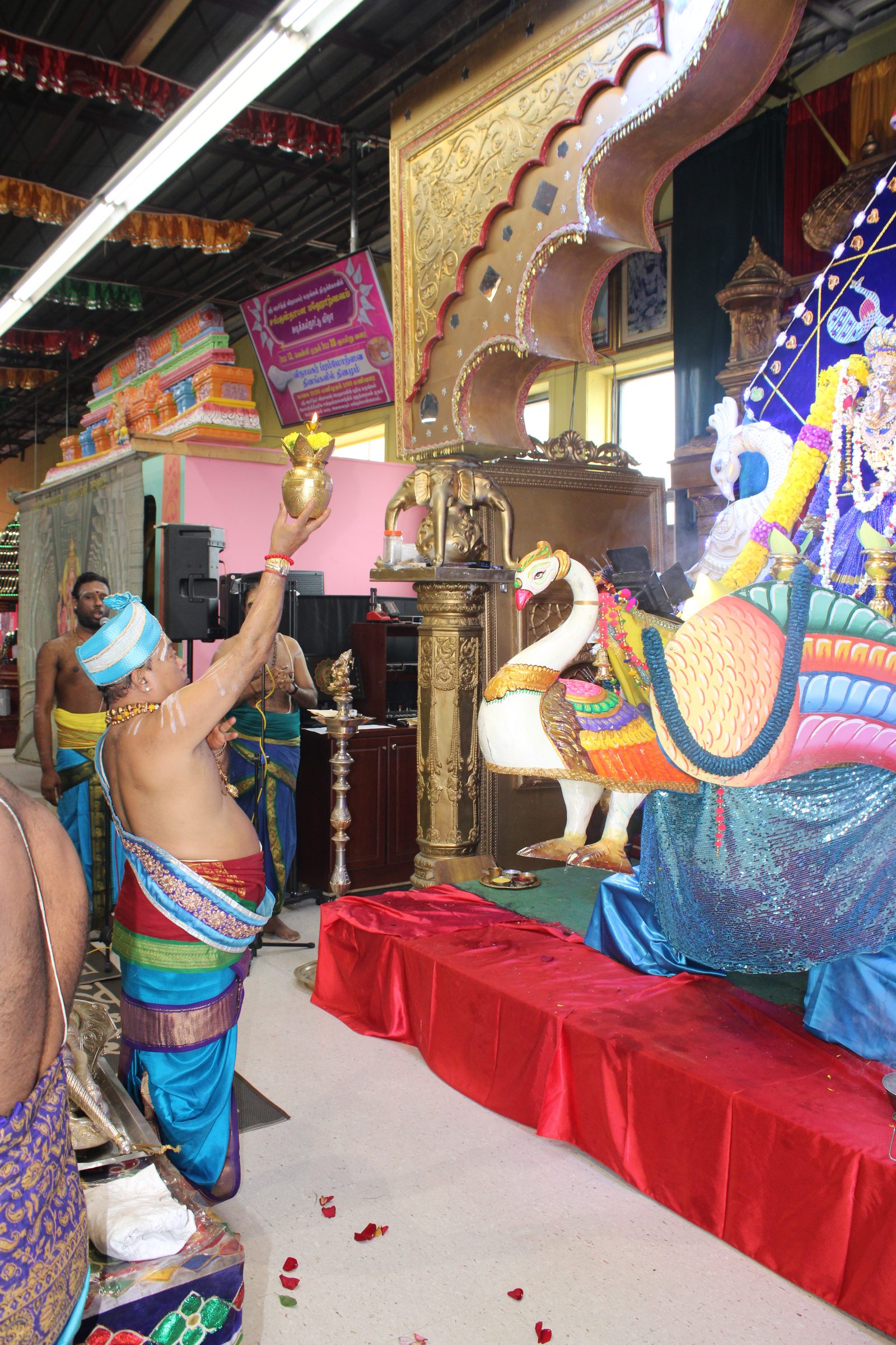 Festival 2024 photo